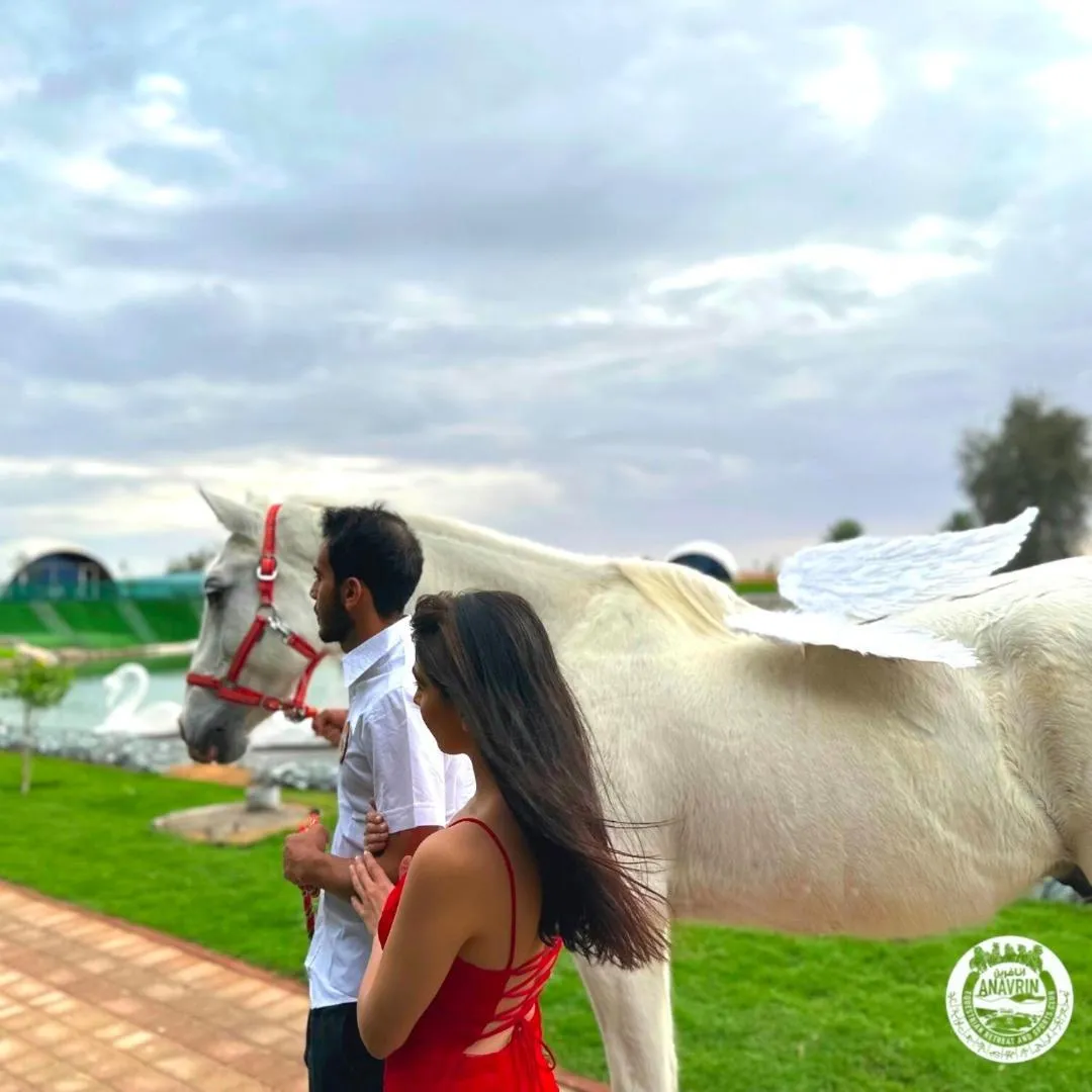 Animals in Nirvana Retreat By Patanjali Wellness Initiative