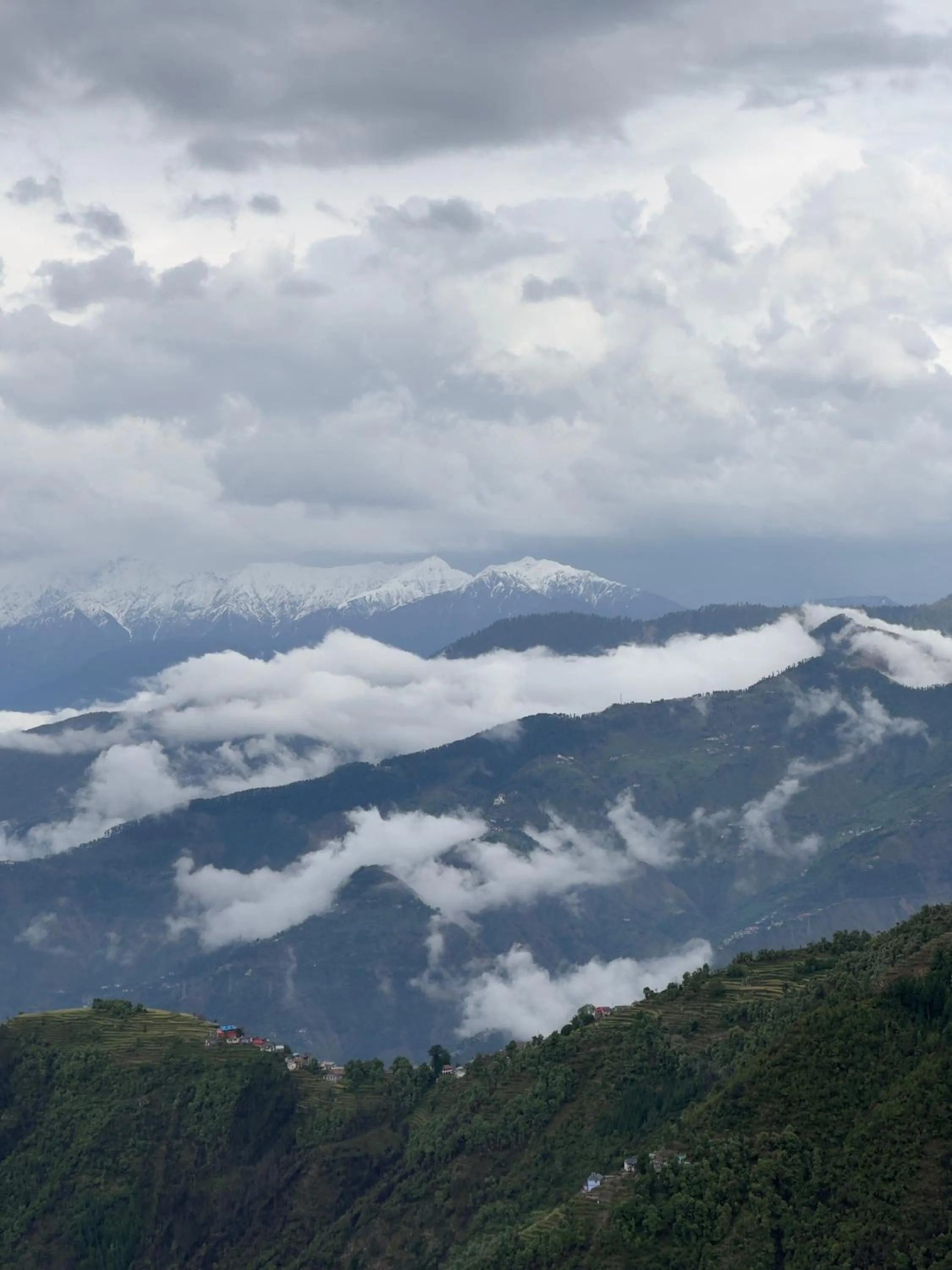 Mountain view in Wolfandwoods