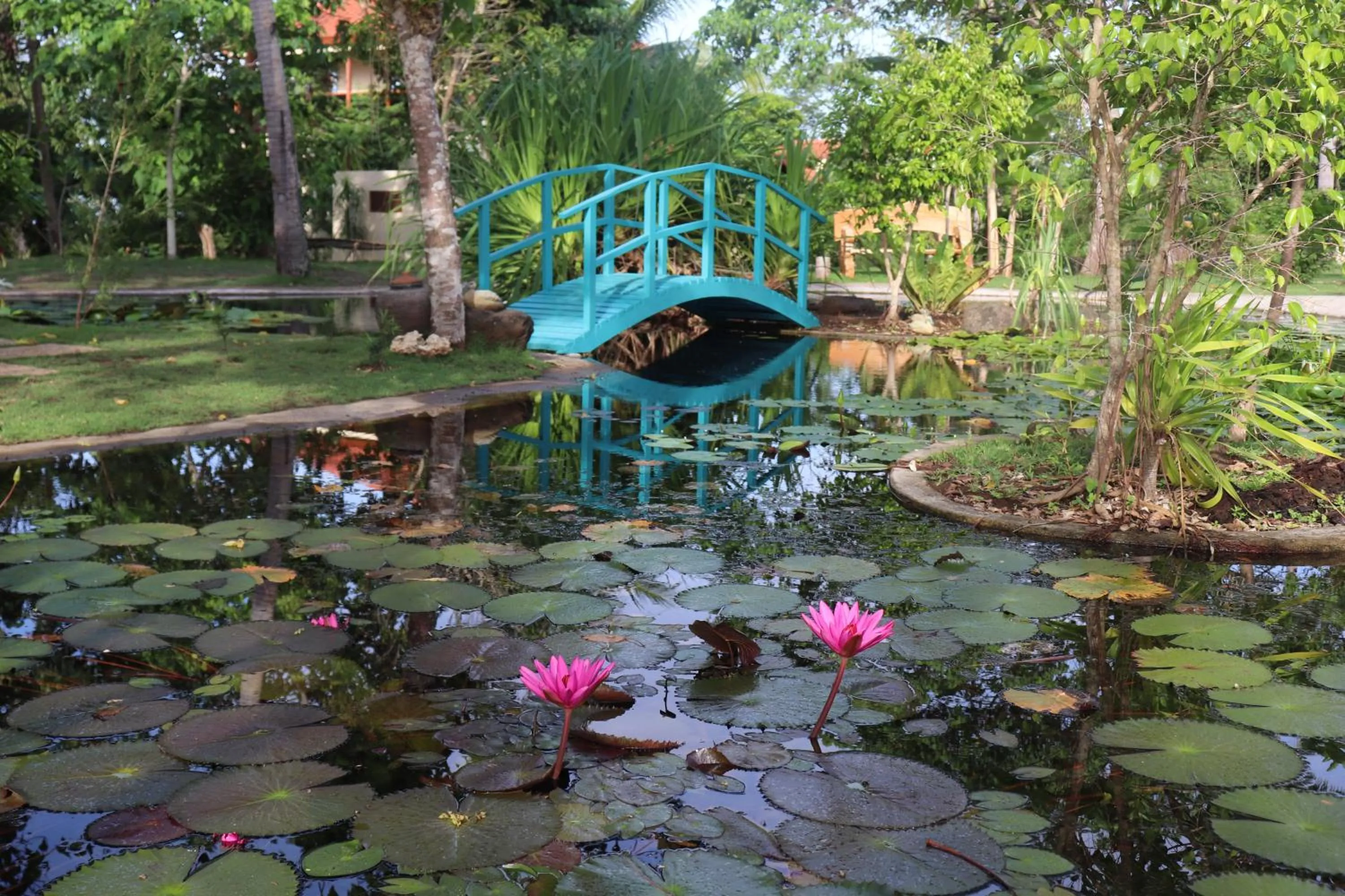 Garden in Island View Beachfront Resort