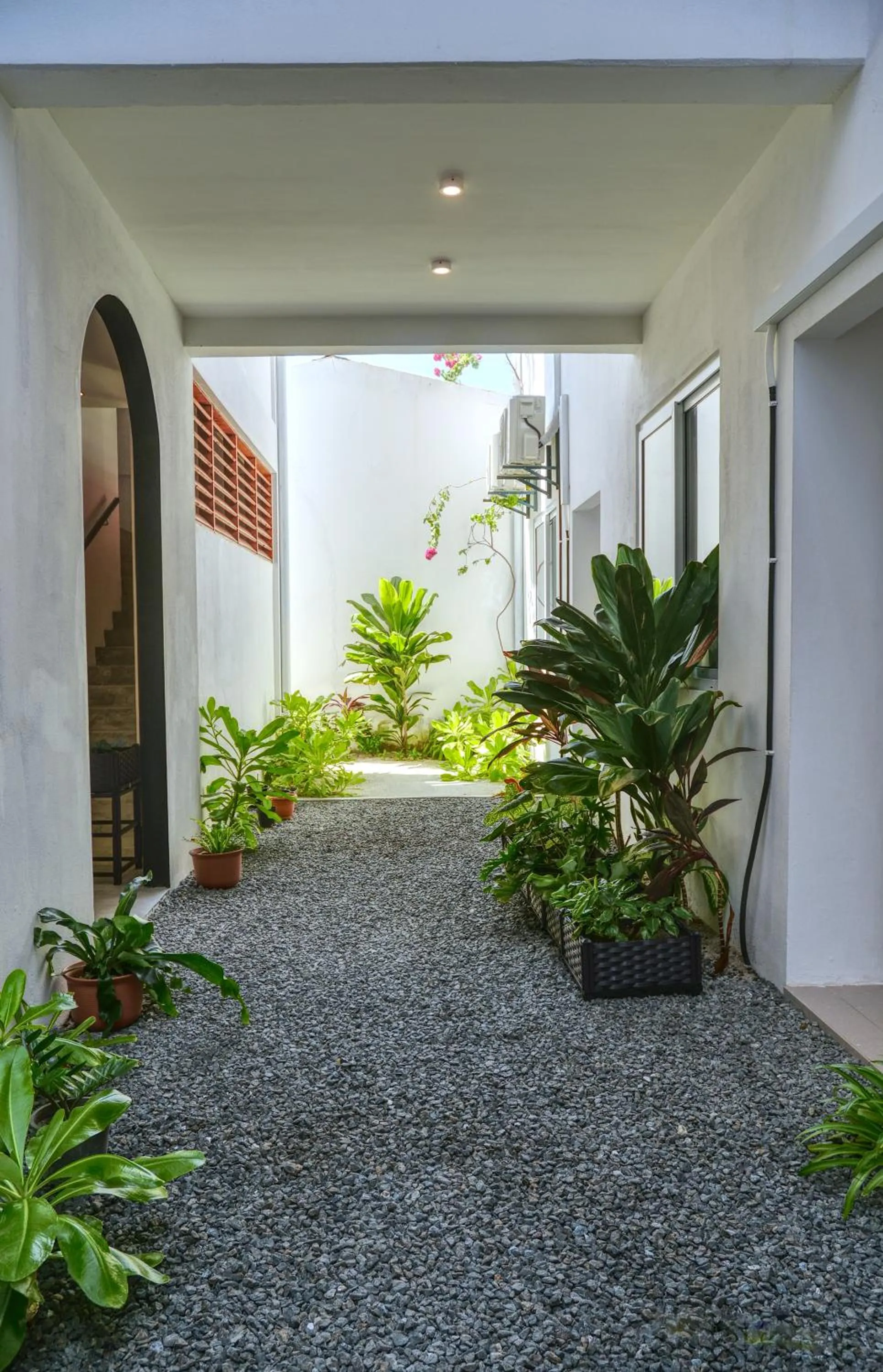 Day in Island Ambience