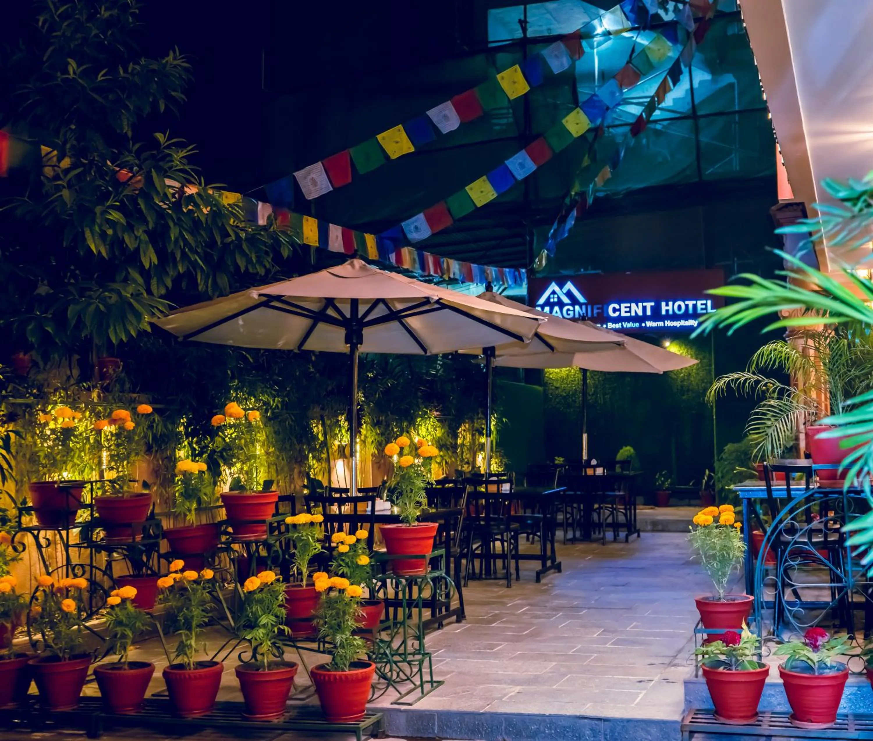 Garden in Magnificent Hotel