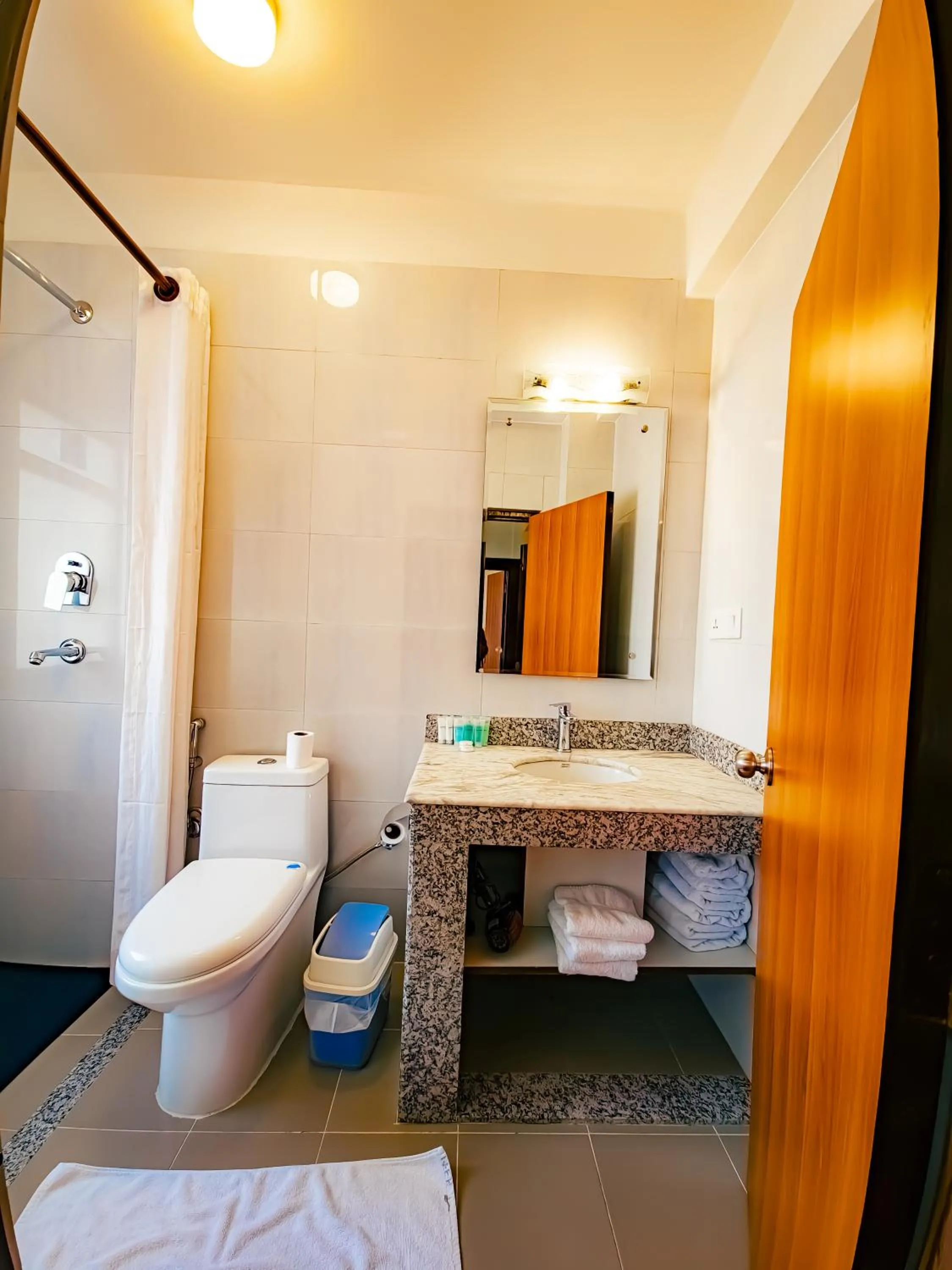 Toilet in Magnificent Hotel