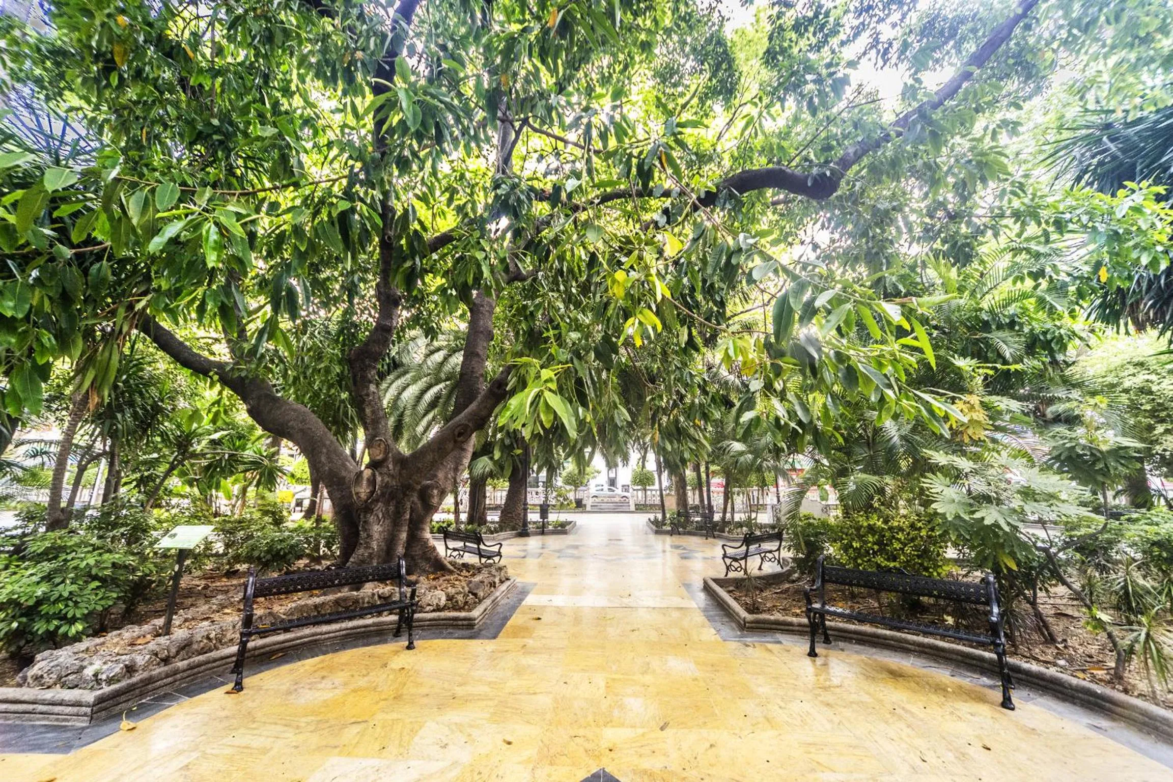 Natural landscape in Óbal Hotel Marbella
