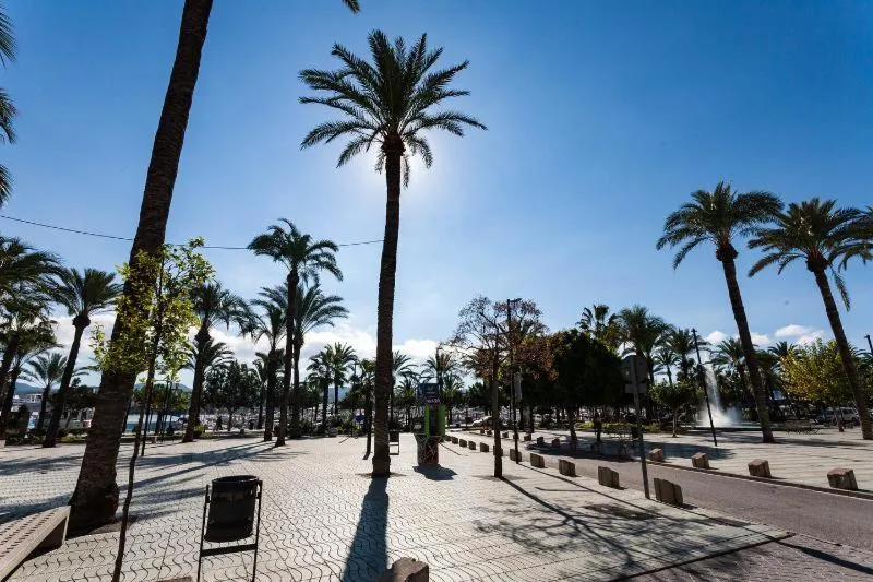 Other in Apartamentos Tramuntana