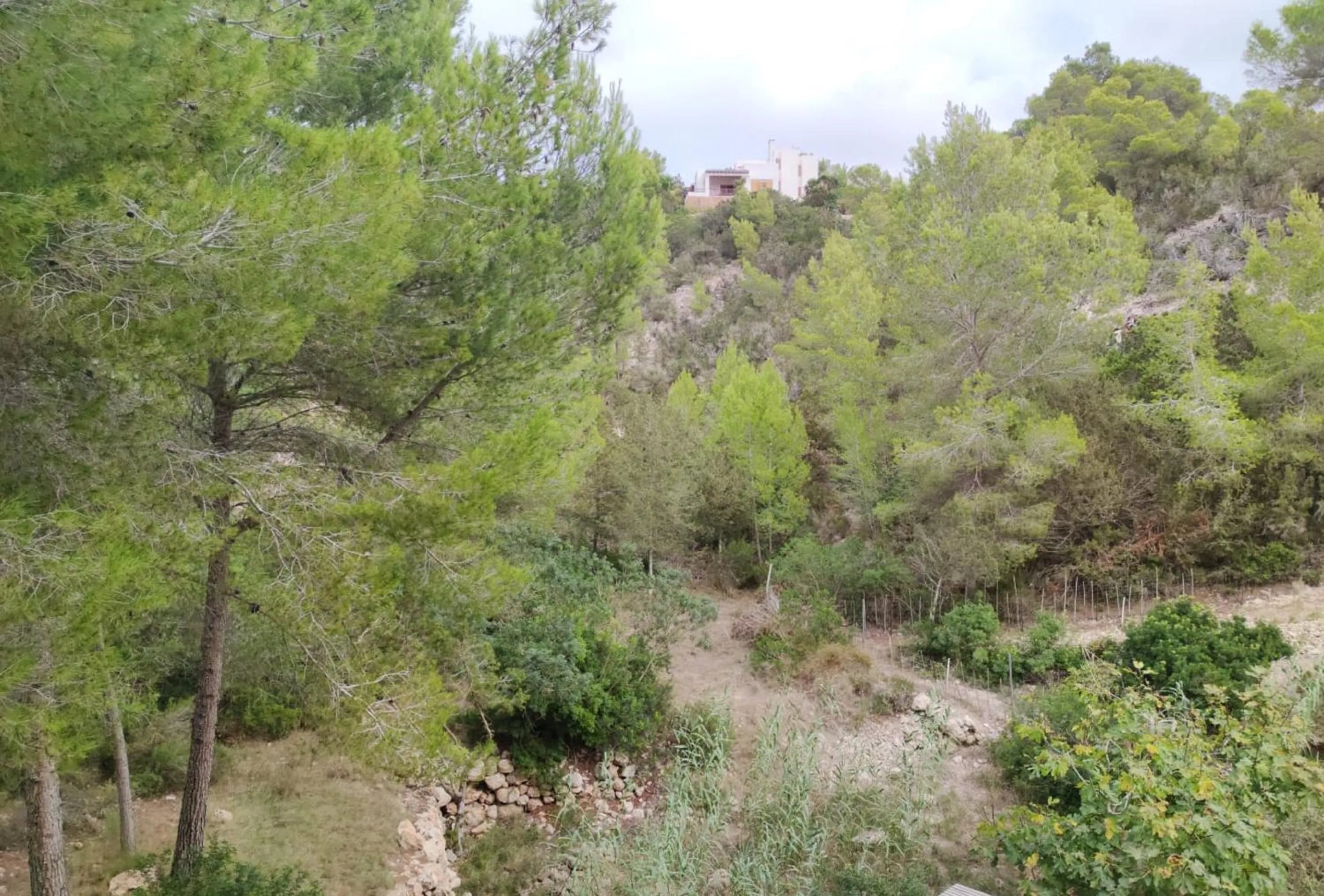 Mountain view in Aparthotel Puerto Cala Vadella