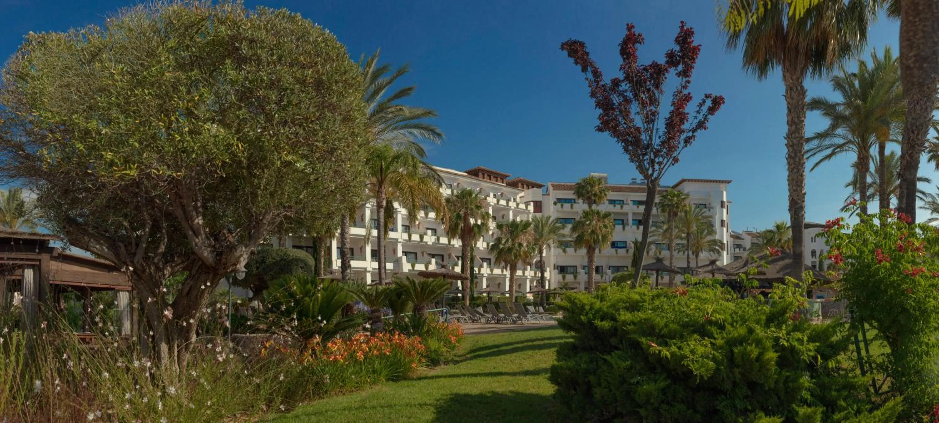Garden in SH Villa Gadea