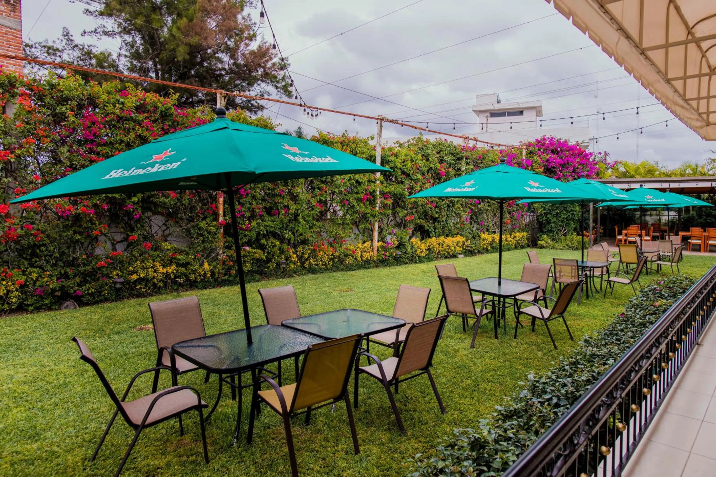 Restaurant/places to eat in Hotel La Querencia