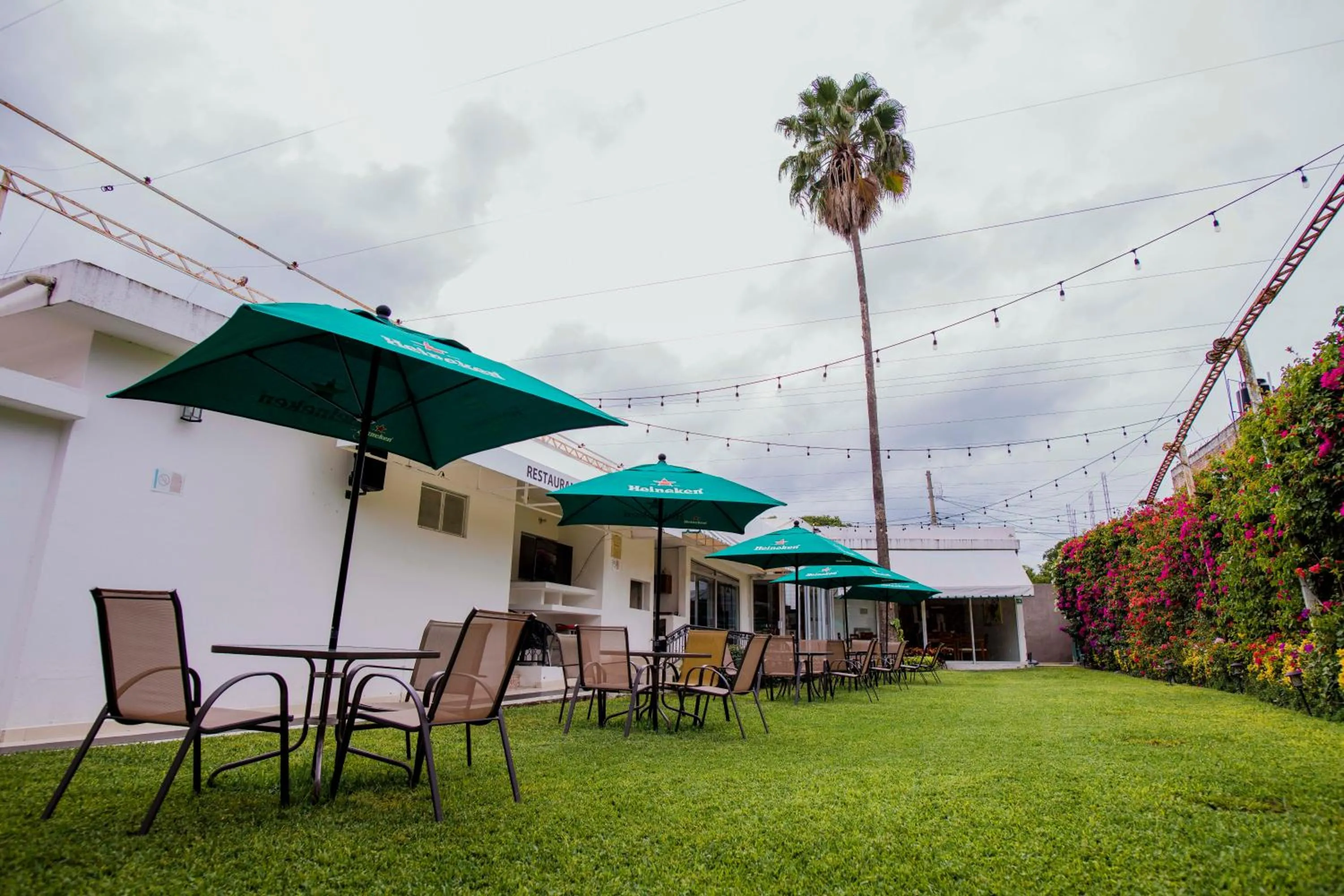 Restaurant/places to eat in Hotel La Querencia