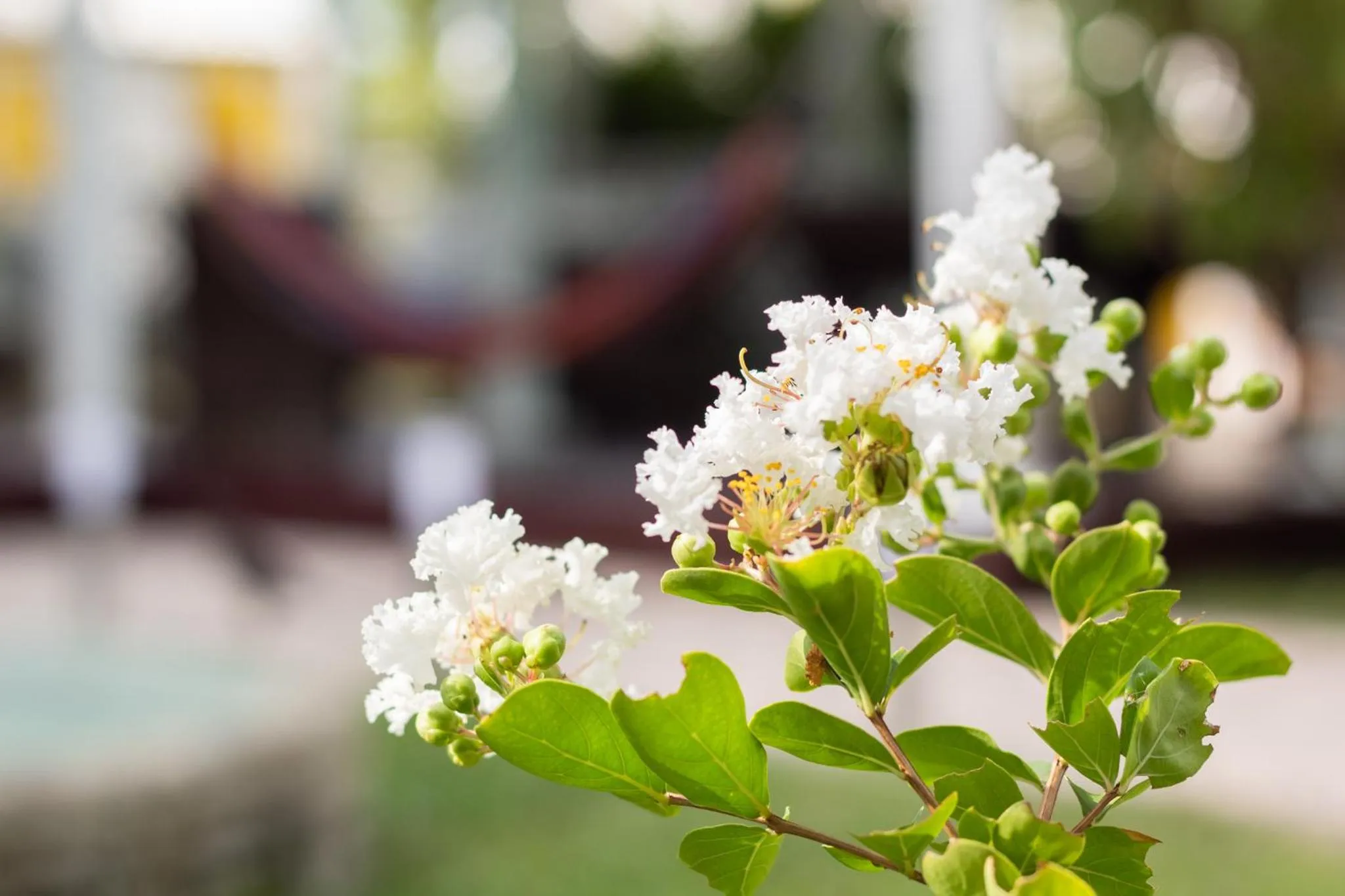 HOTEL CASA AMARILLA et RESTAURANT