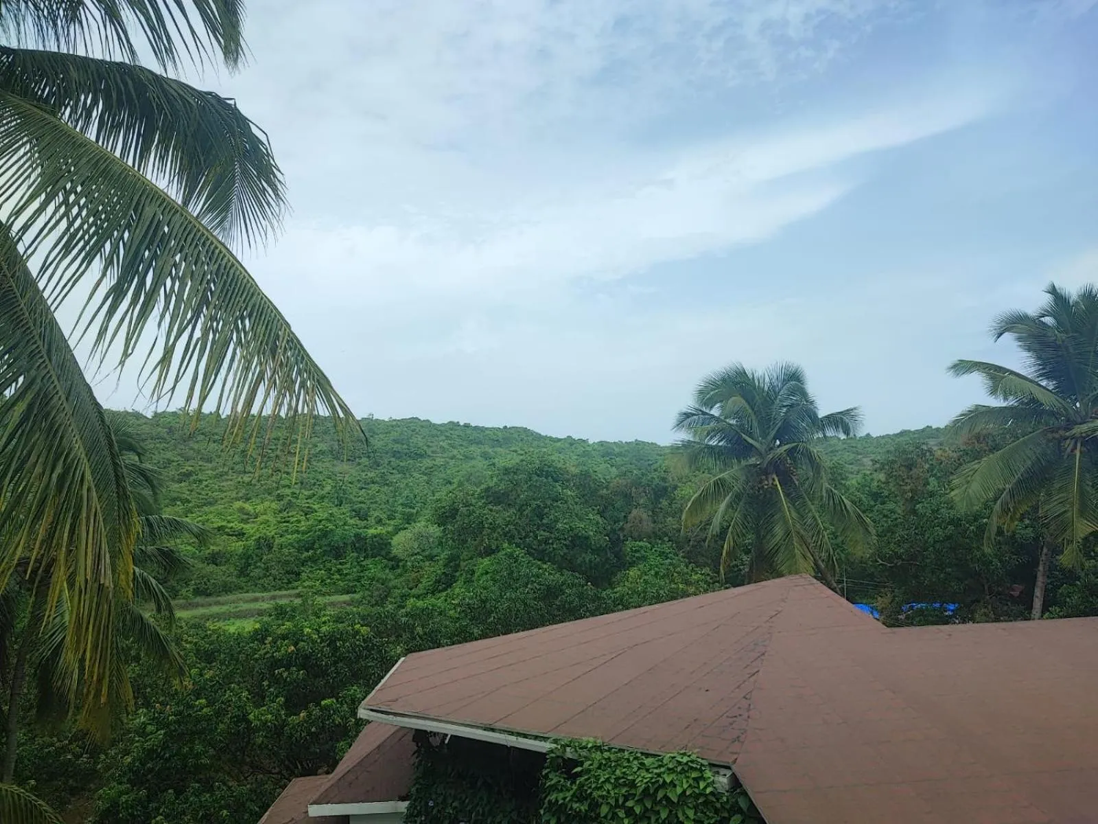 View (from property/room) in The Verda De Miranda Resort Morjim North Goa