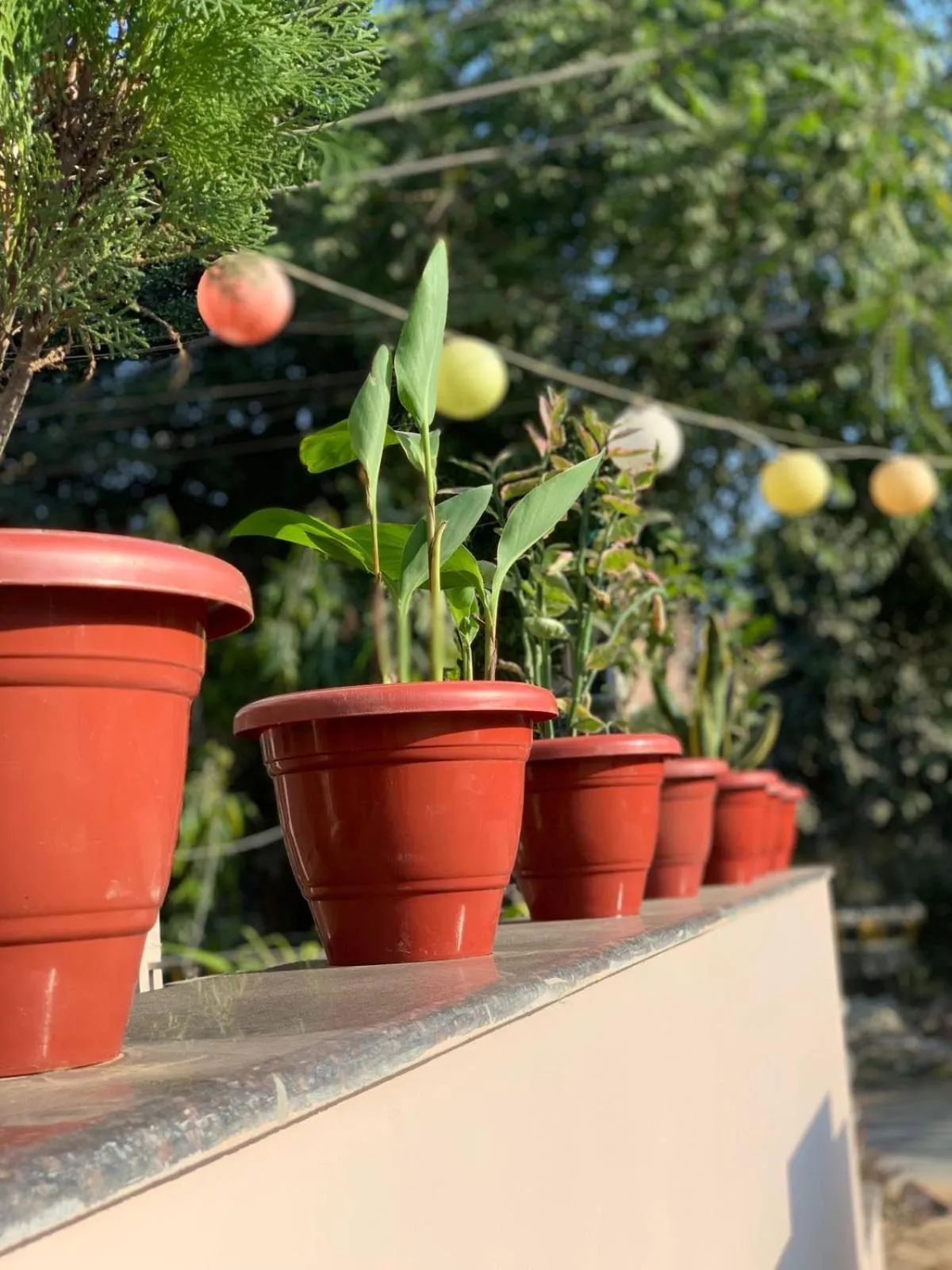 Day in THE REJOICE VENTURE