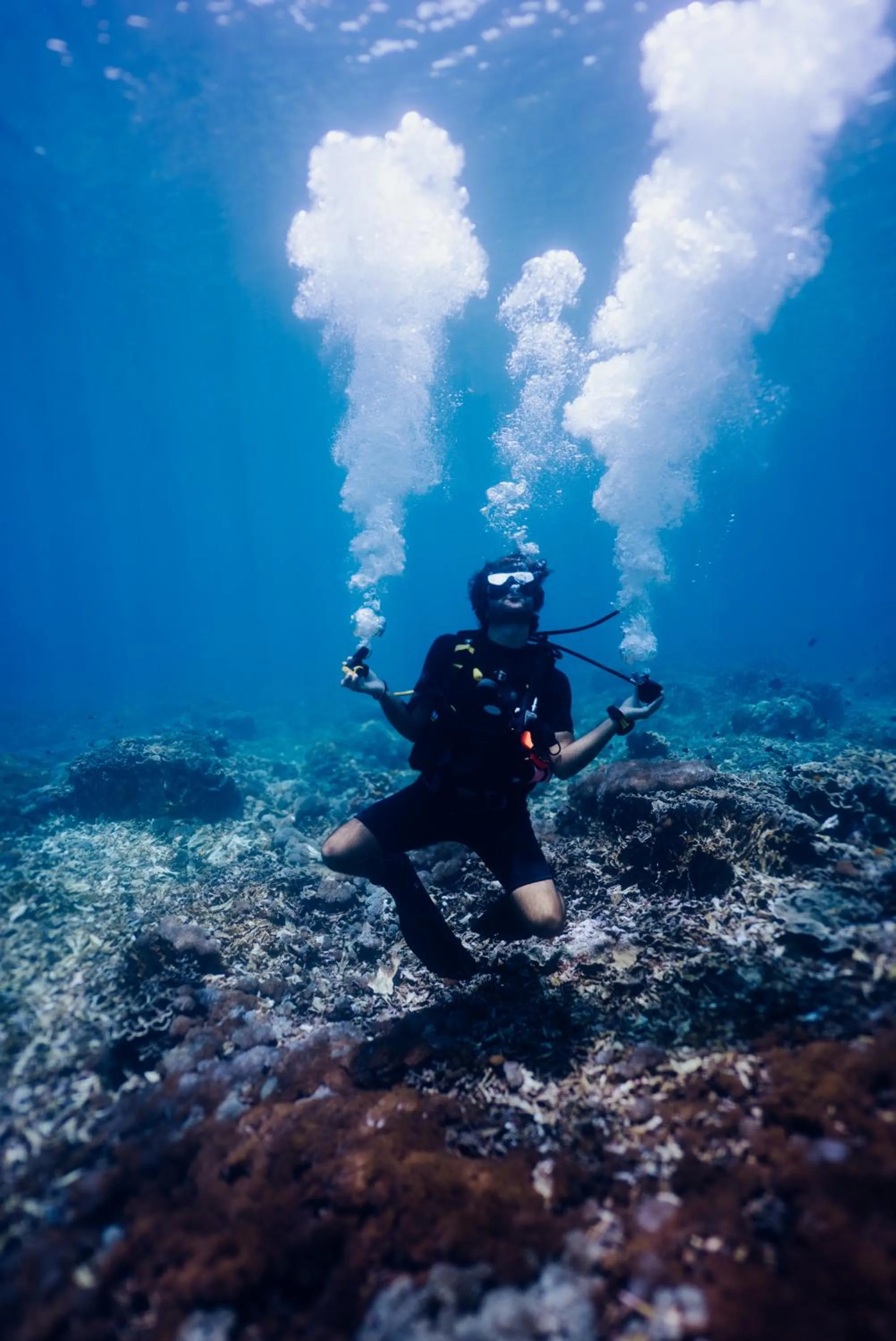 Diving in Deep Roots Dive & Yoga Resort