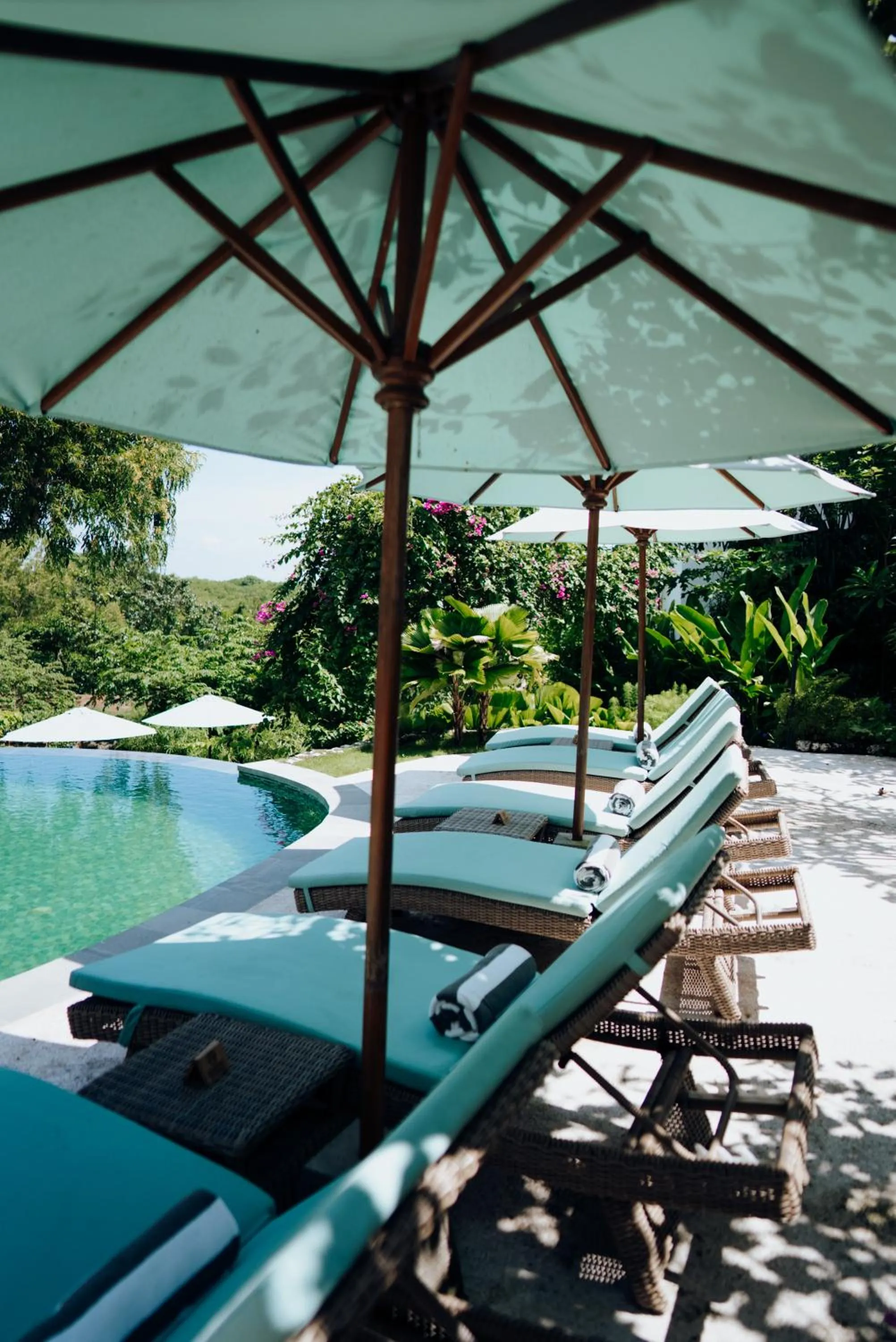 Pool view in Deep Roots Dive & Yoga Resort