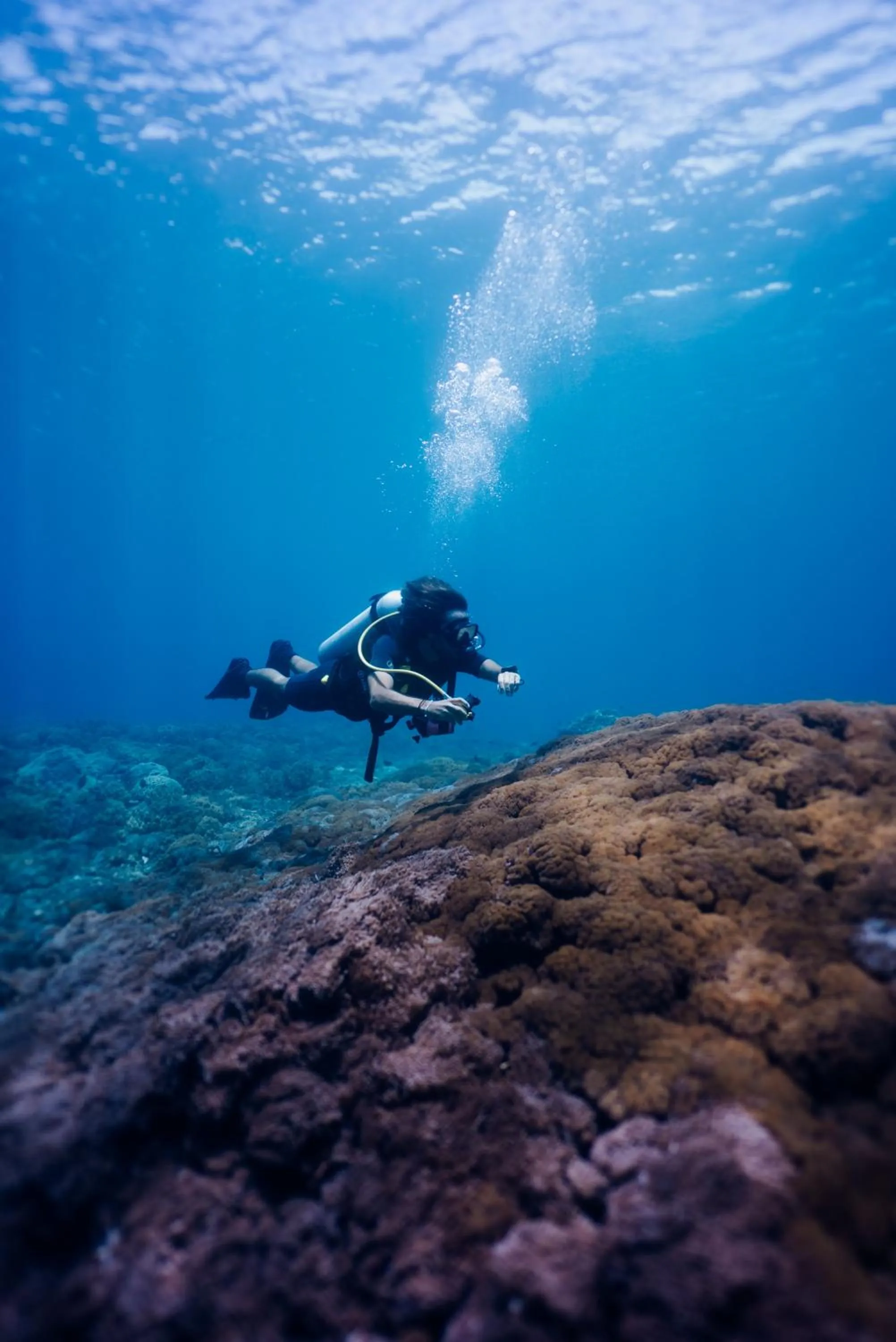 Activities in Deep Roots Dive & Yoga Resort