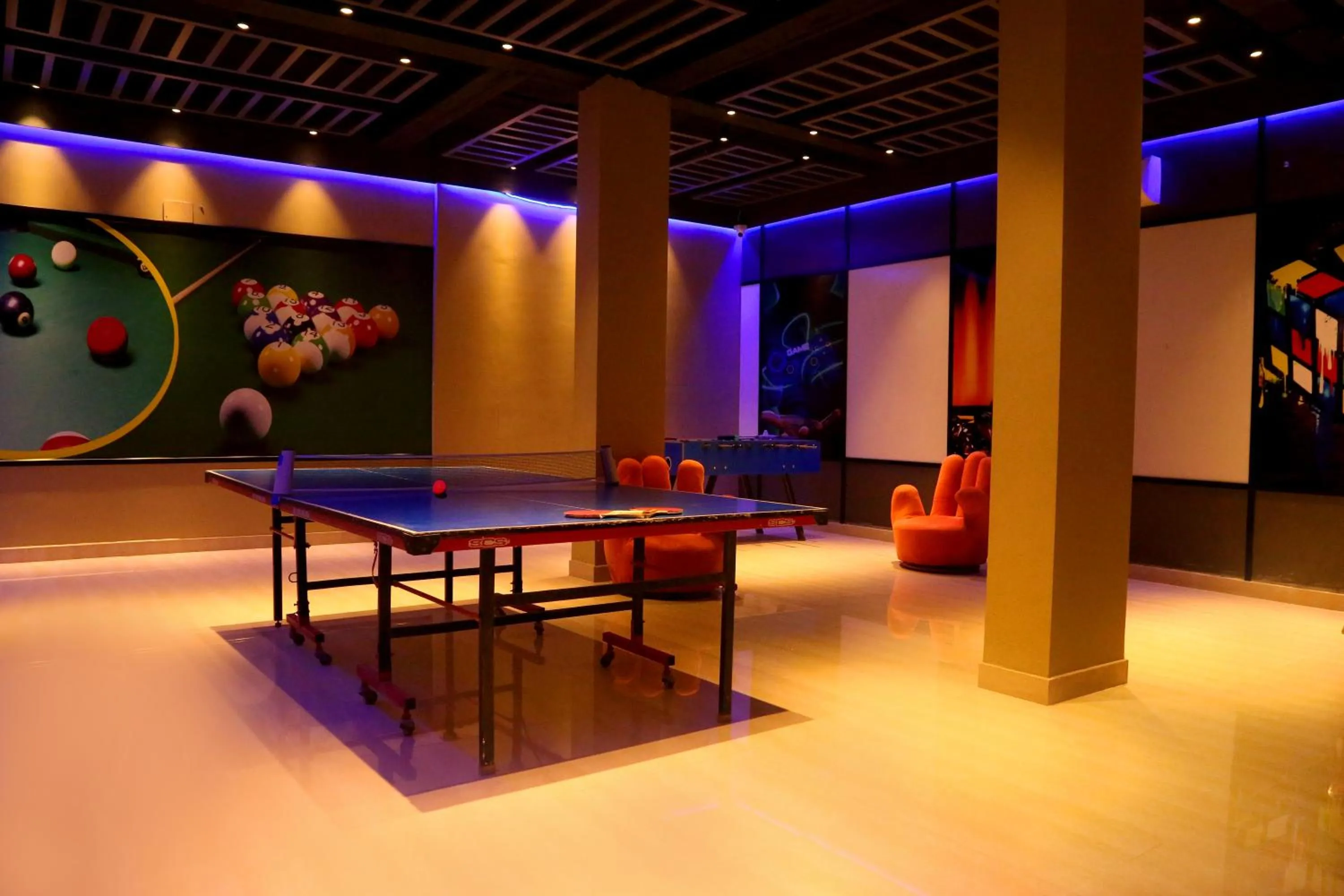 Game Room in VITS Panchgani