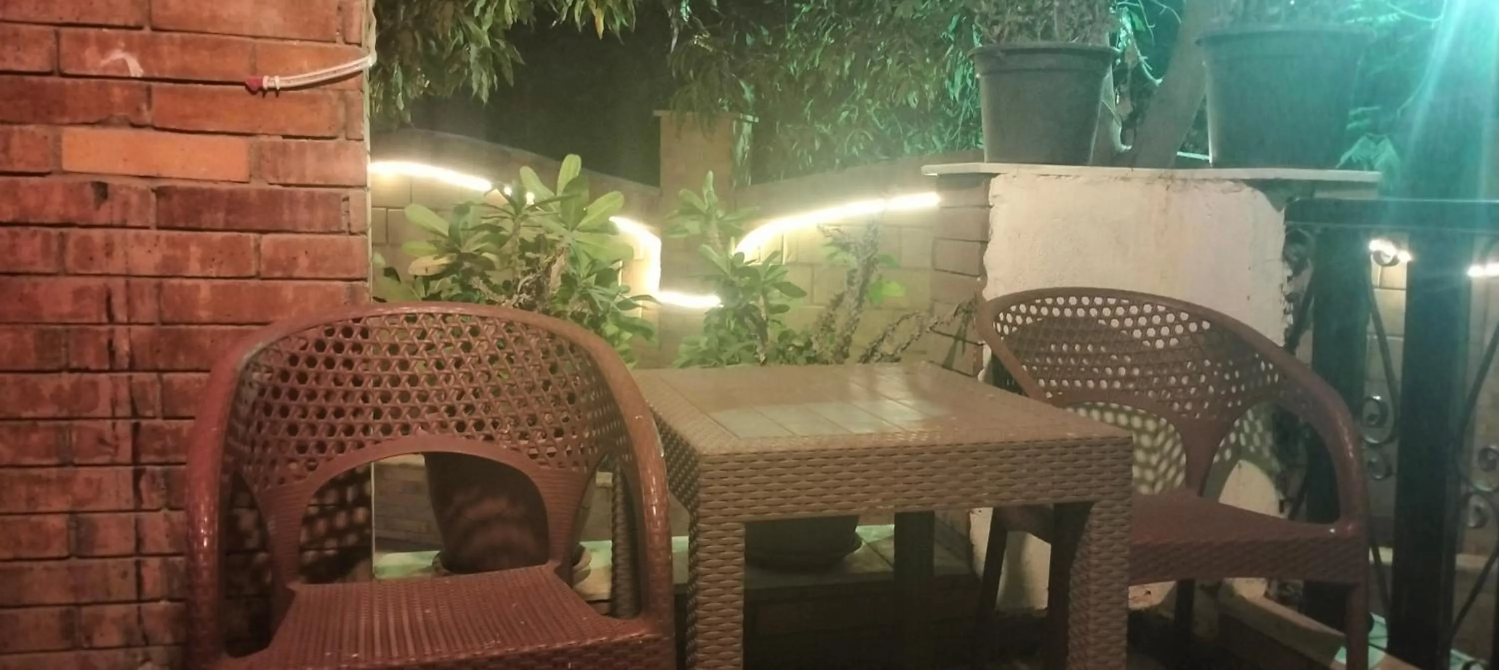 Garden in Zeina pyramids view