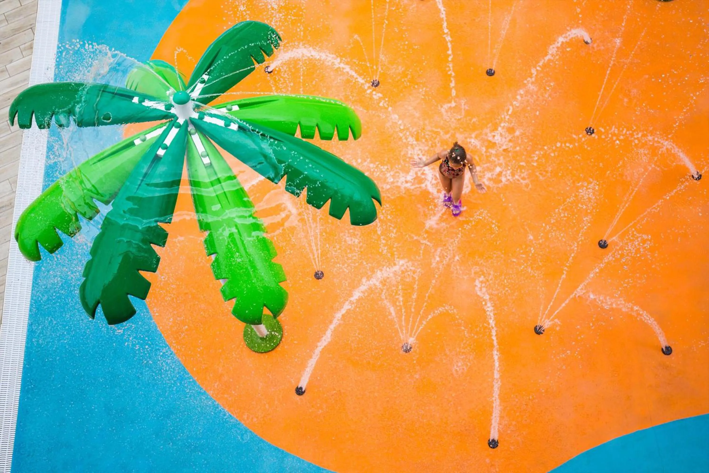 Activities in Coral Los Alisios