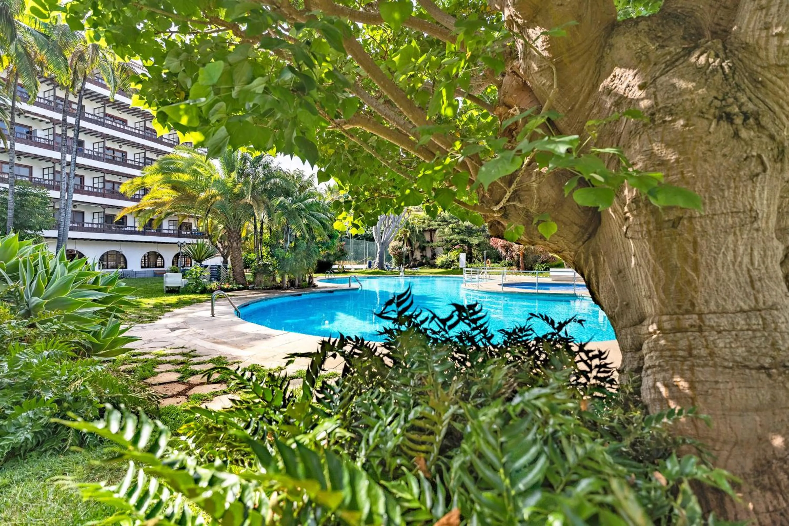 Swimming pool in Coral Teide Mar