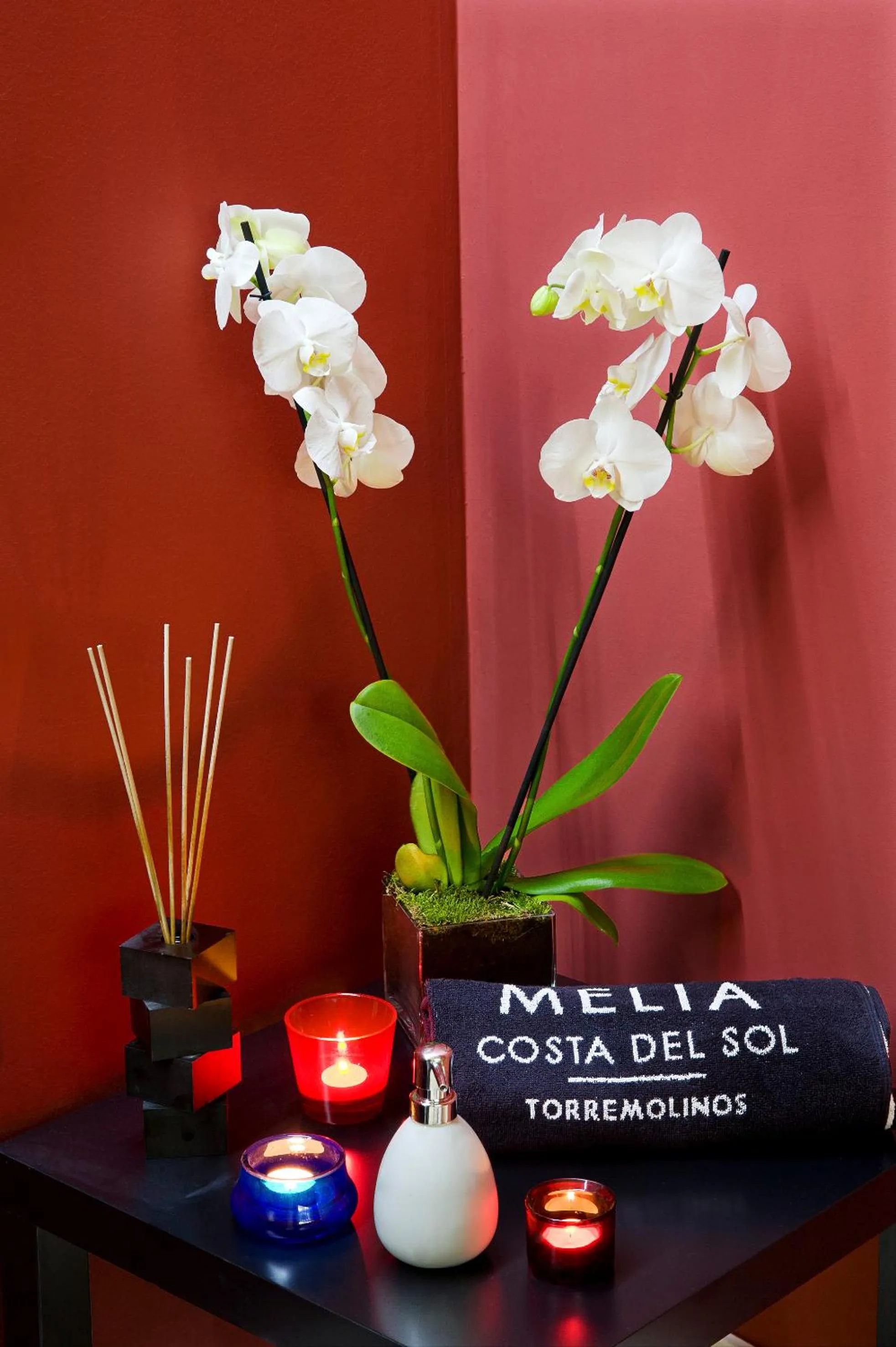 Spa and wellness centre/facilities in Melia Costa del Sol