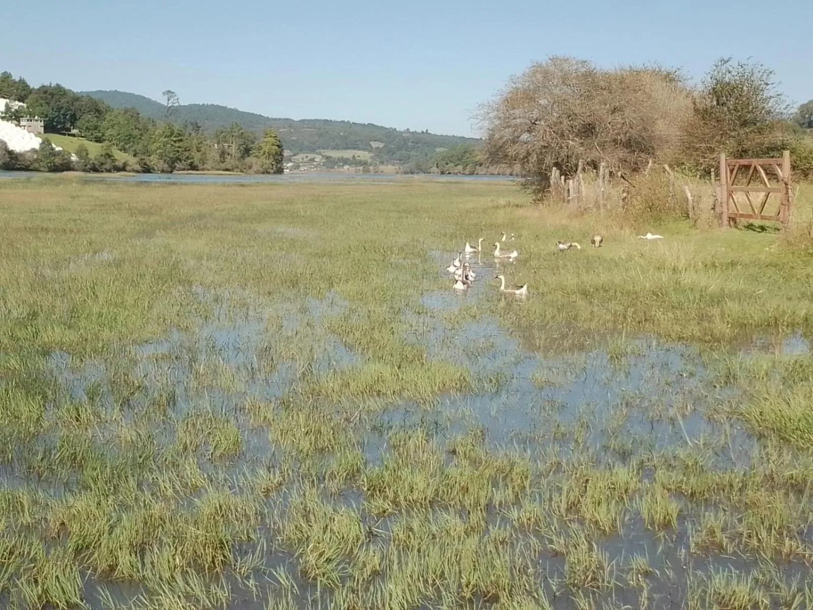 Garden view in MASIA ARAMENI