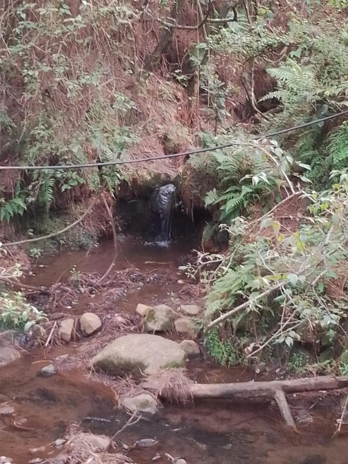 Natural landscape in MASIA ARAMENI