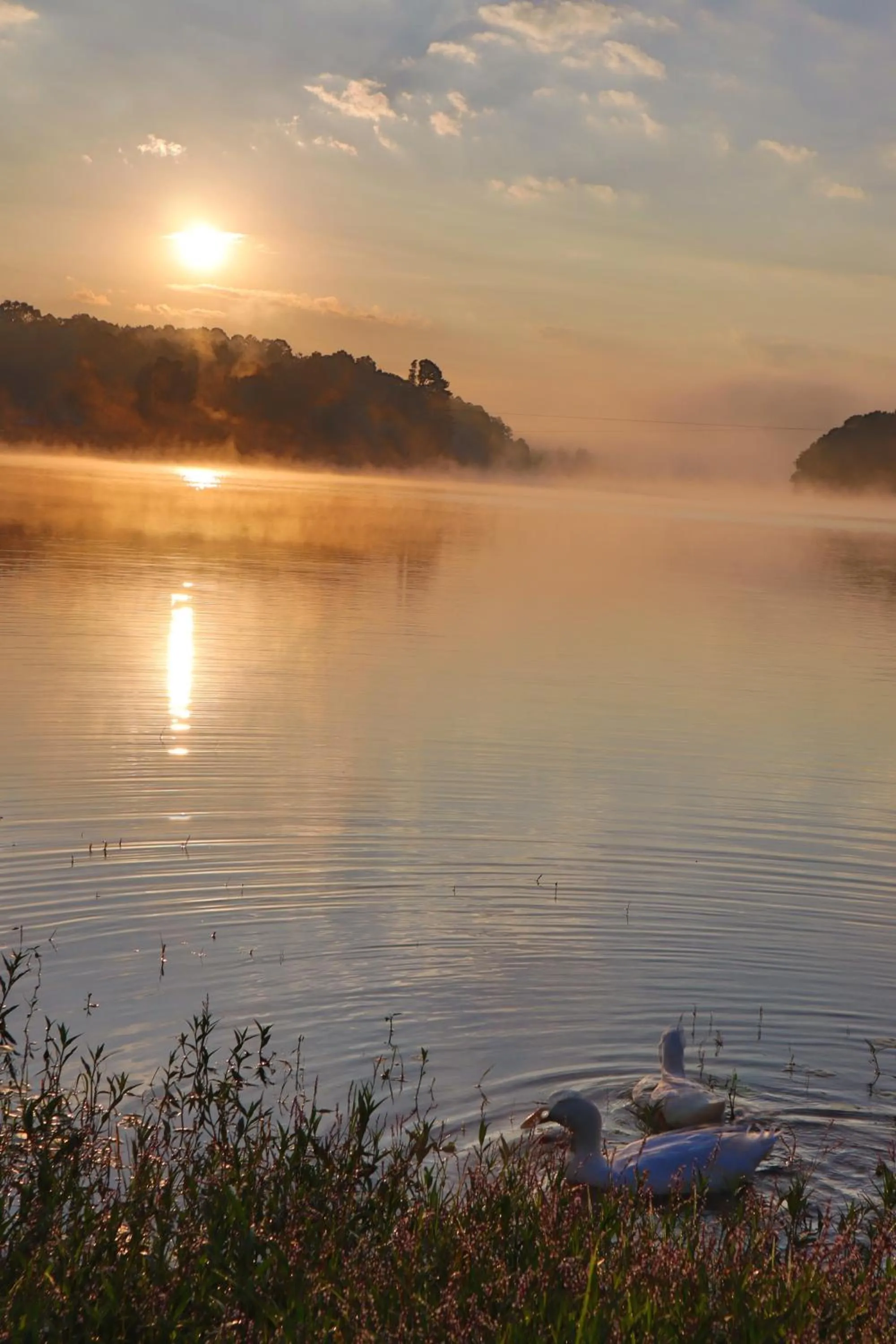 Natural landscape in MASIA ARAMENI