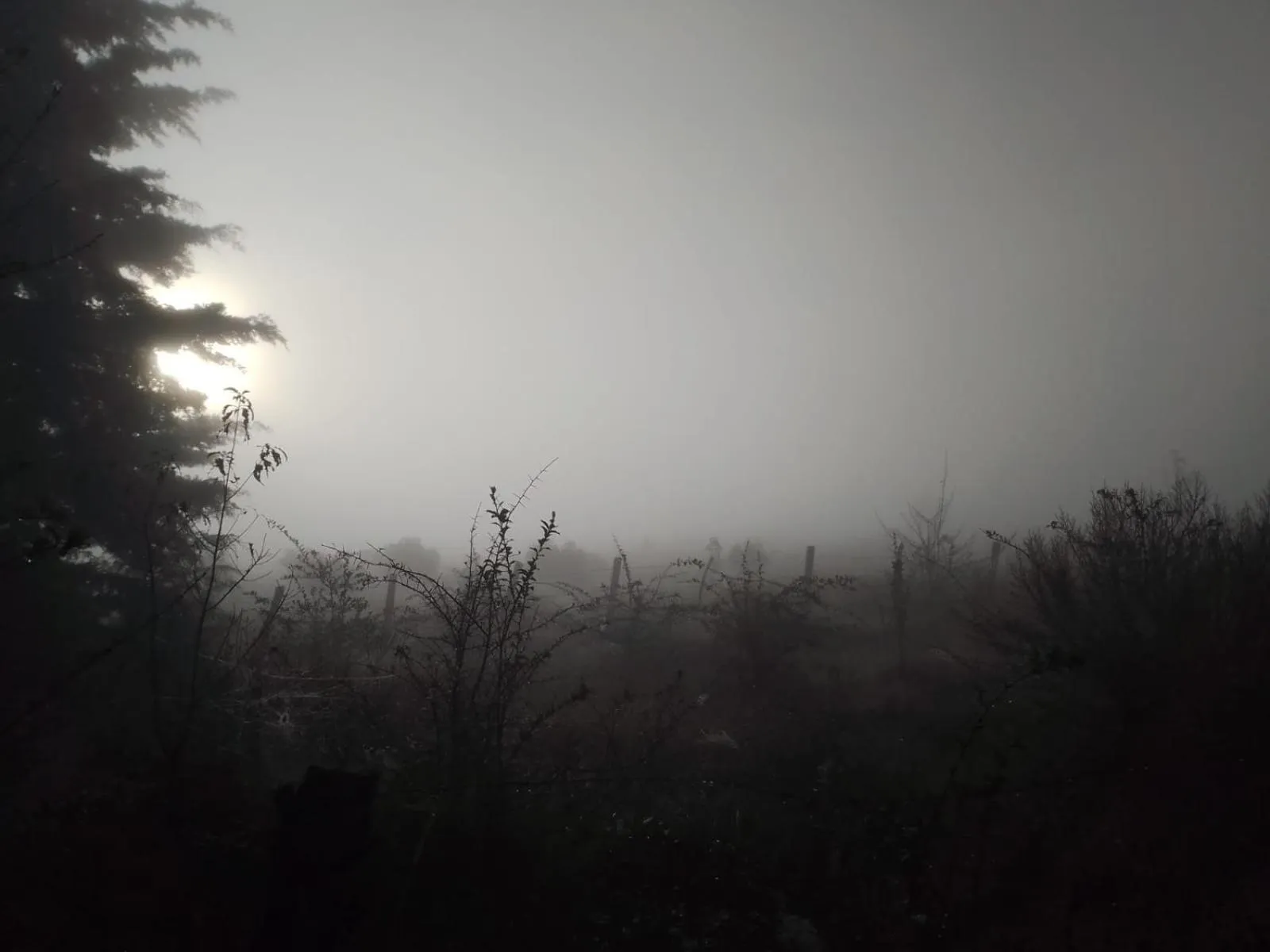 Natural landscape in MASIA ARAMENI