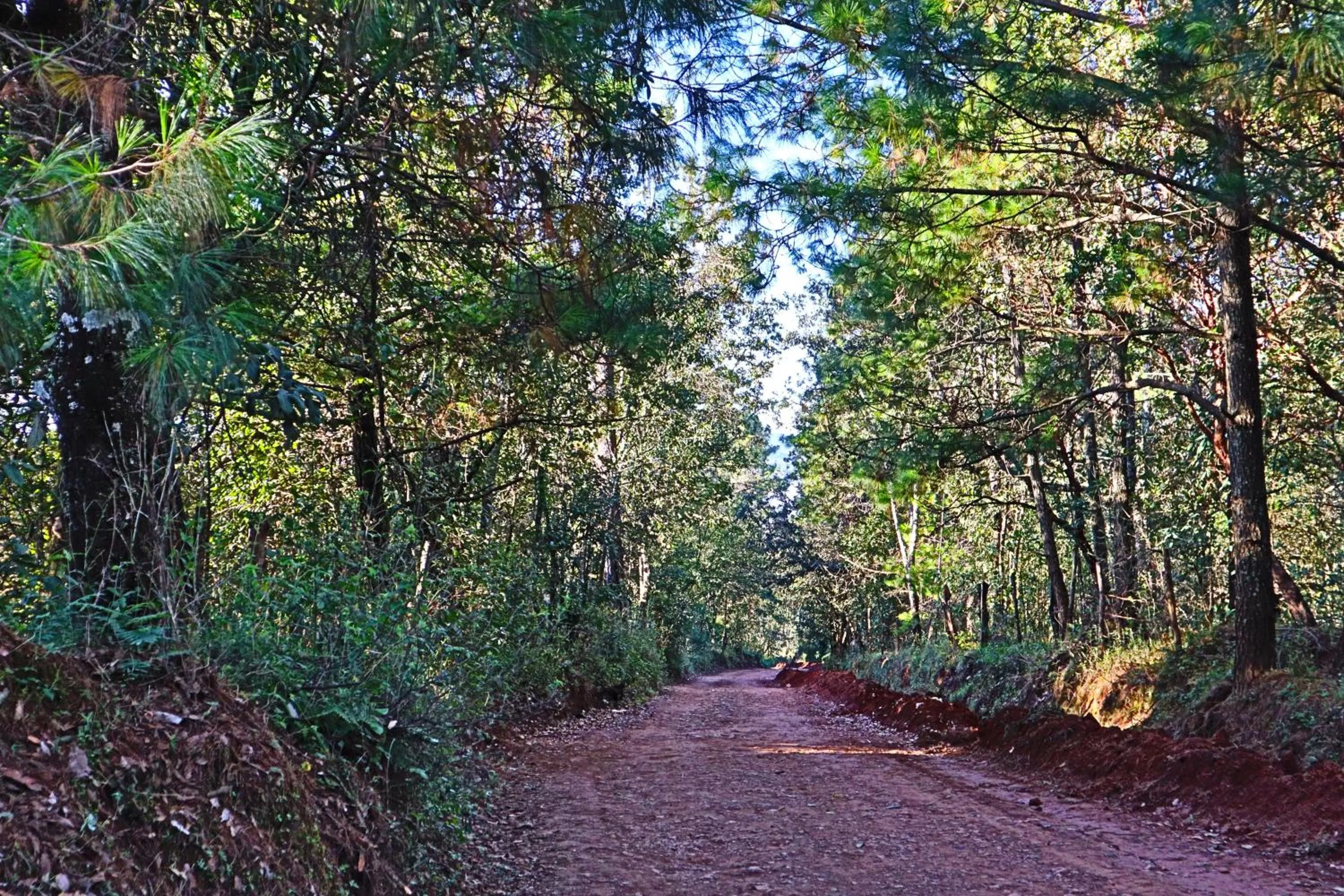 Natural landscape in MASIA ARAMENI