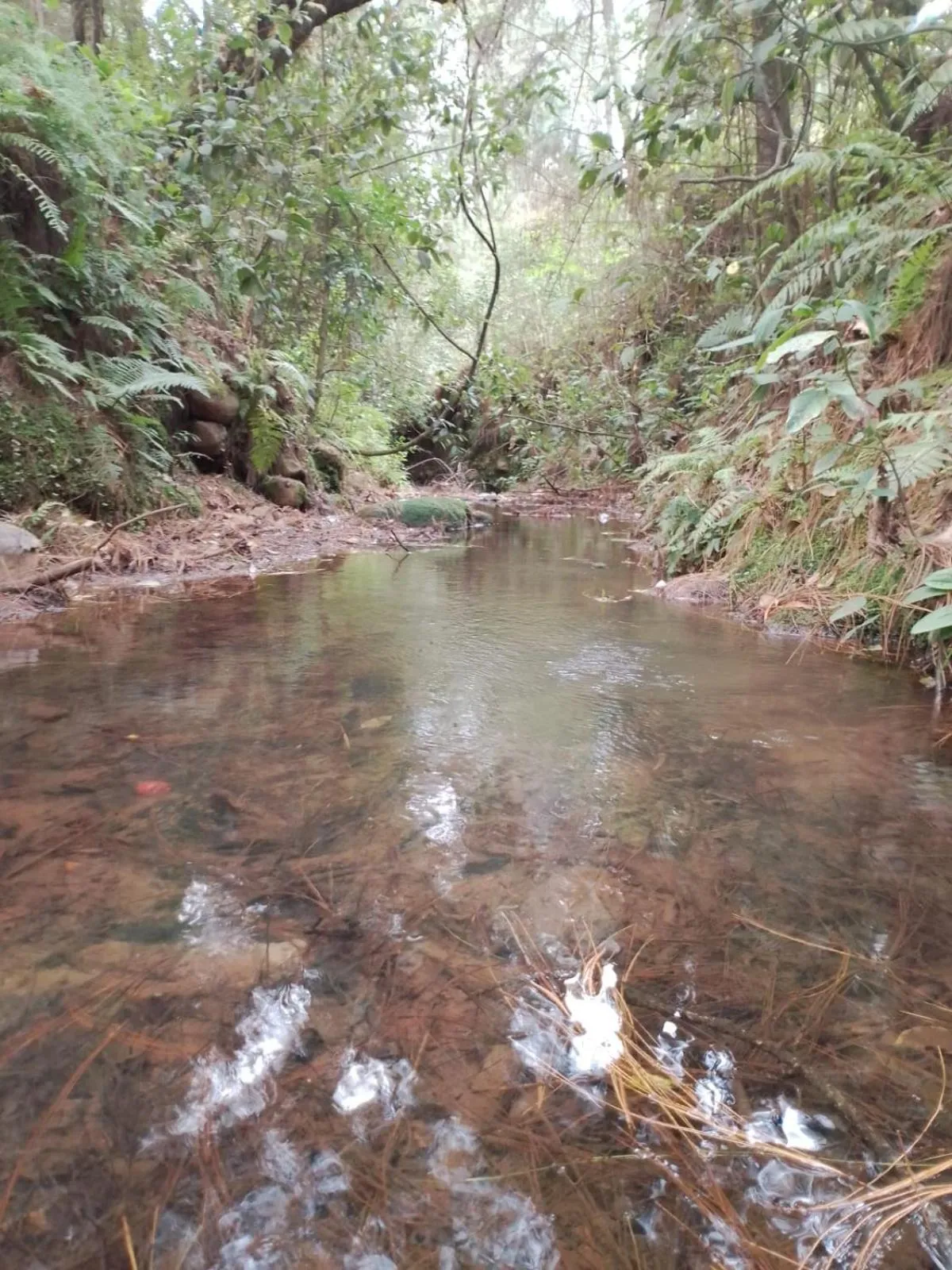 Natural landscape in MASIA ARAMENI
