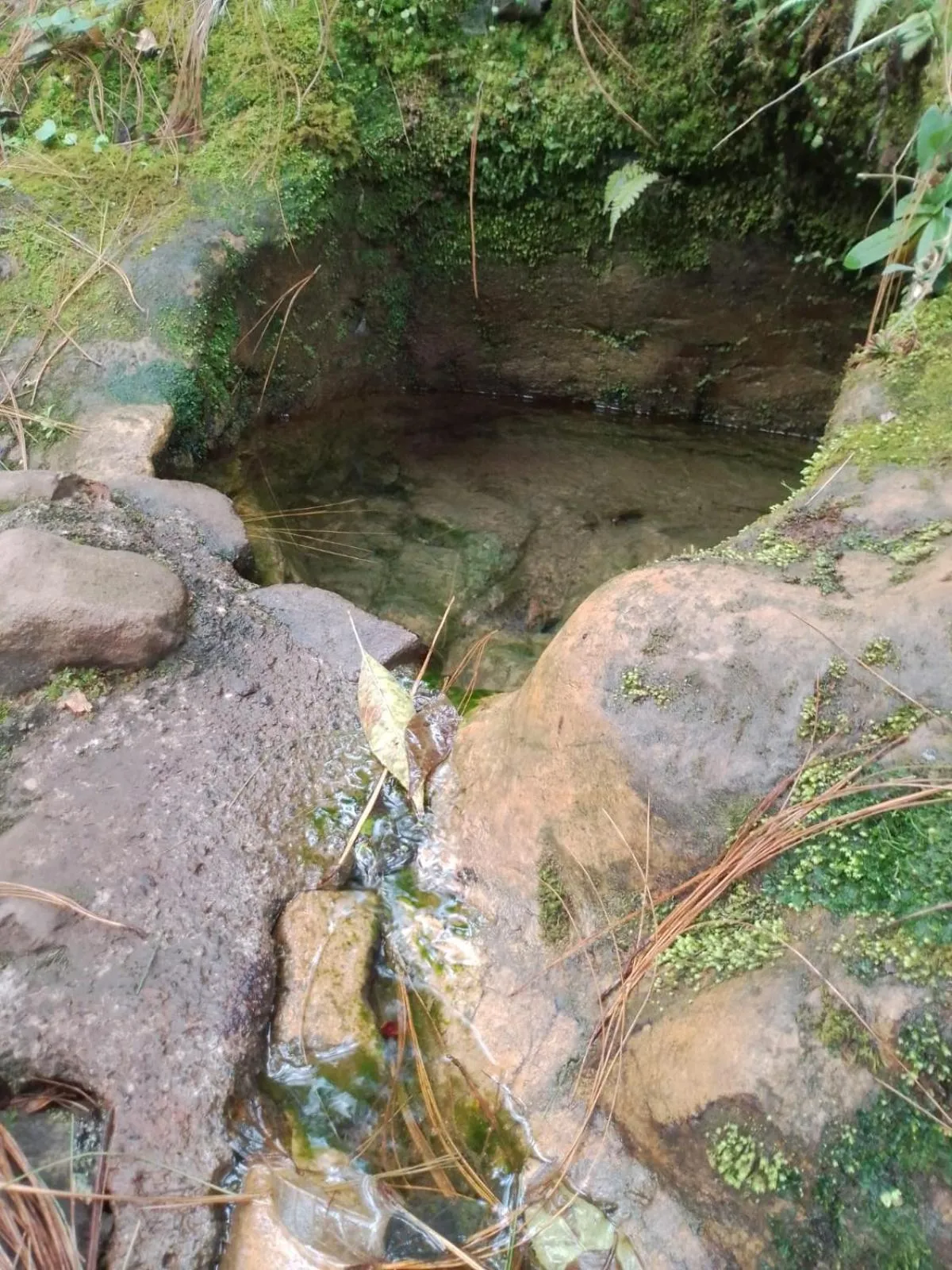 Natural landscape in MASIA ARAMENI