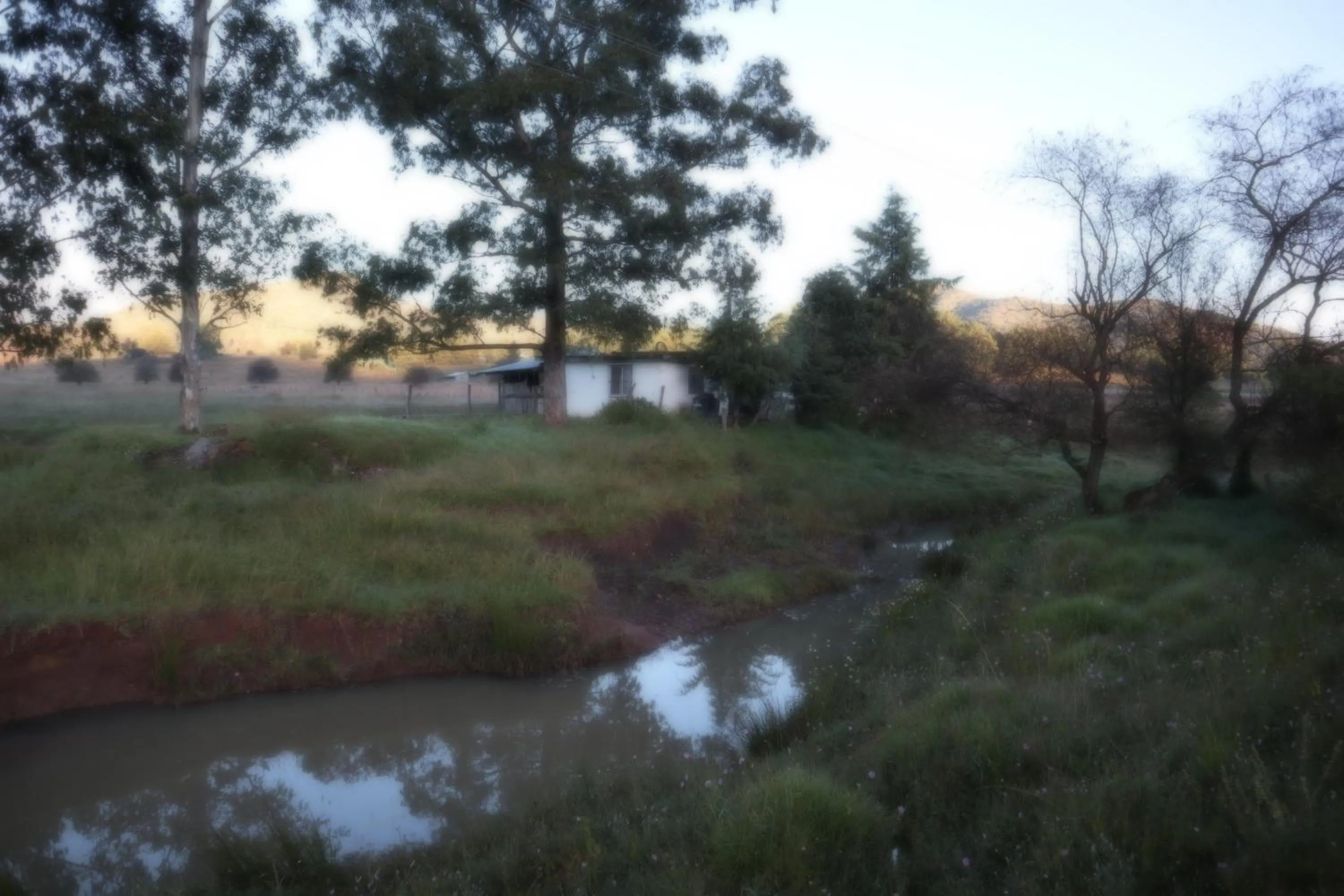Natural landscape in MASIA ARAMENI