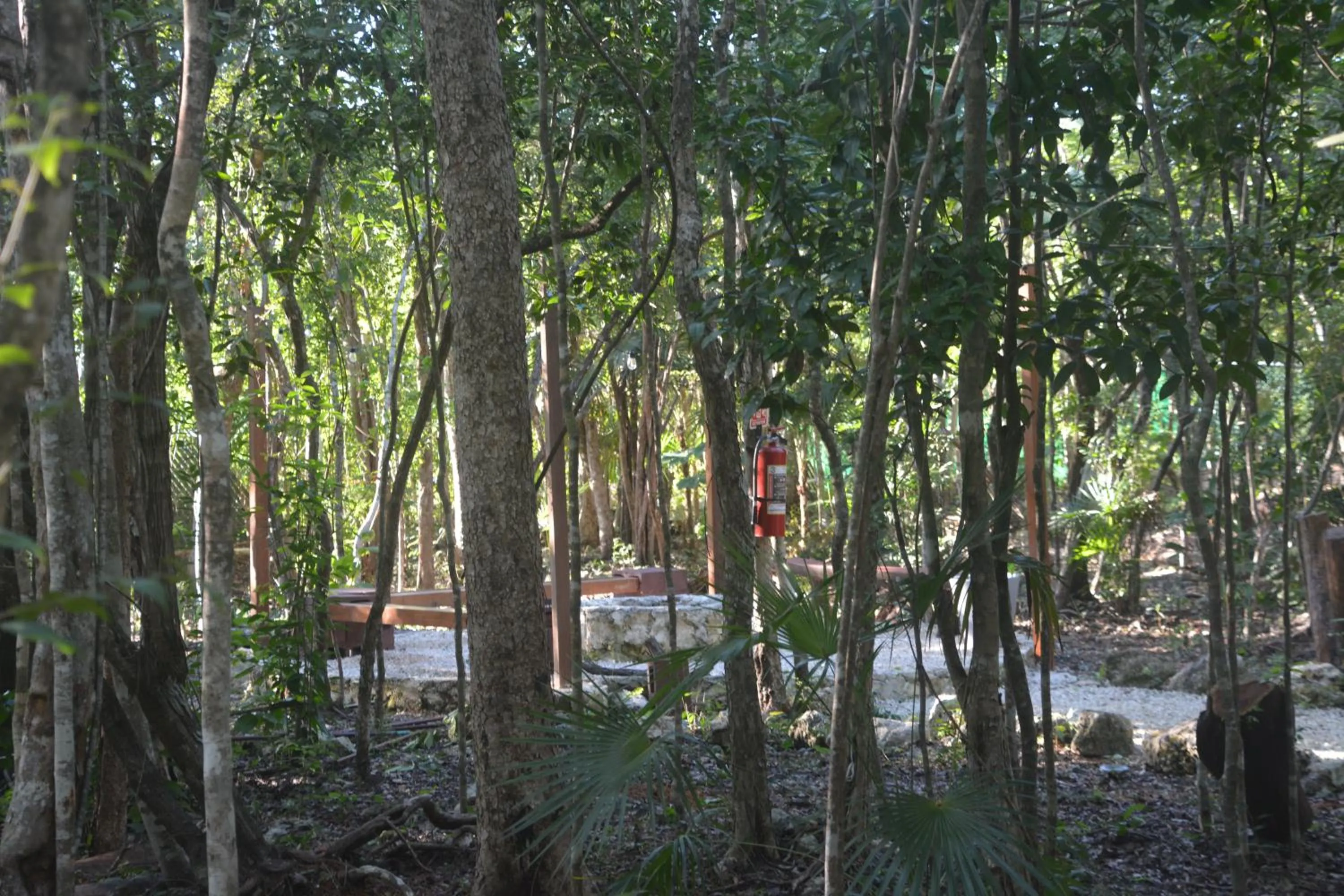 fireplace in Glamping Mayan Glam