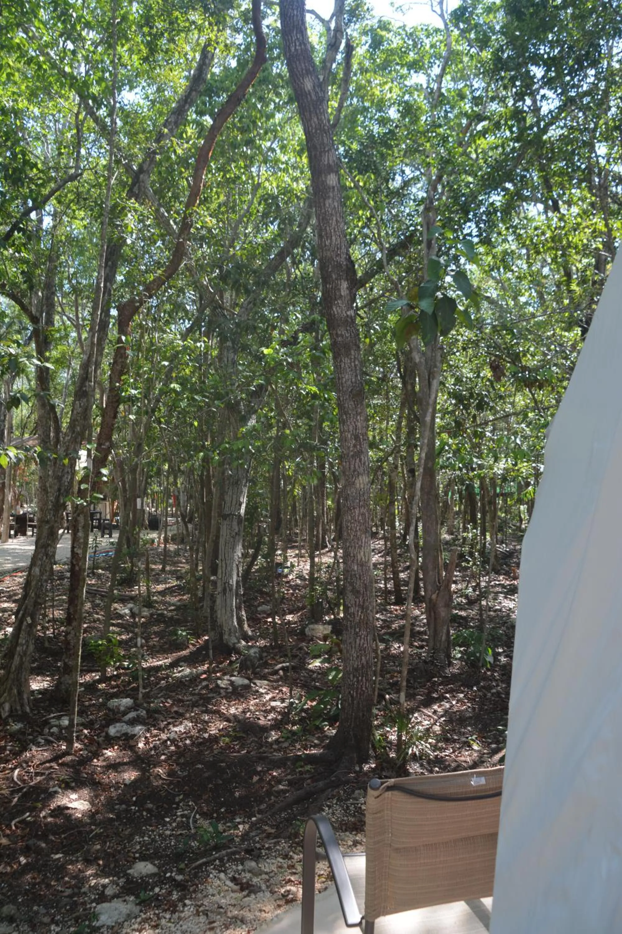 Natural landscape in Glamping Mayan Glam