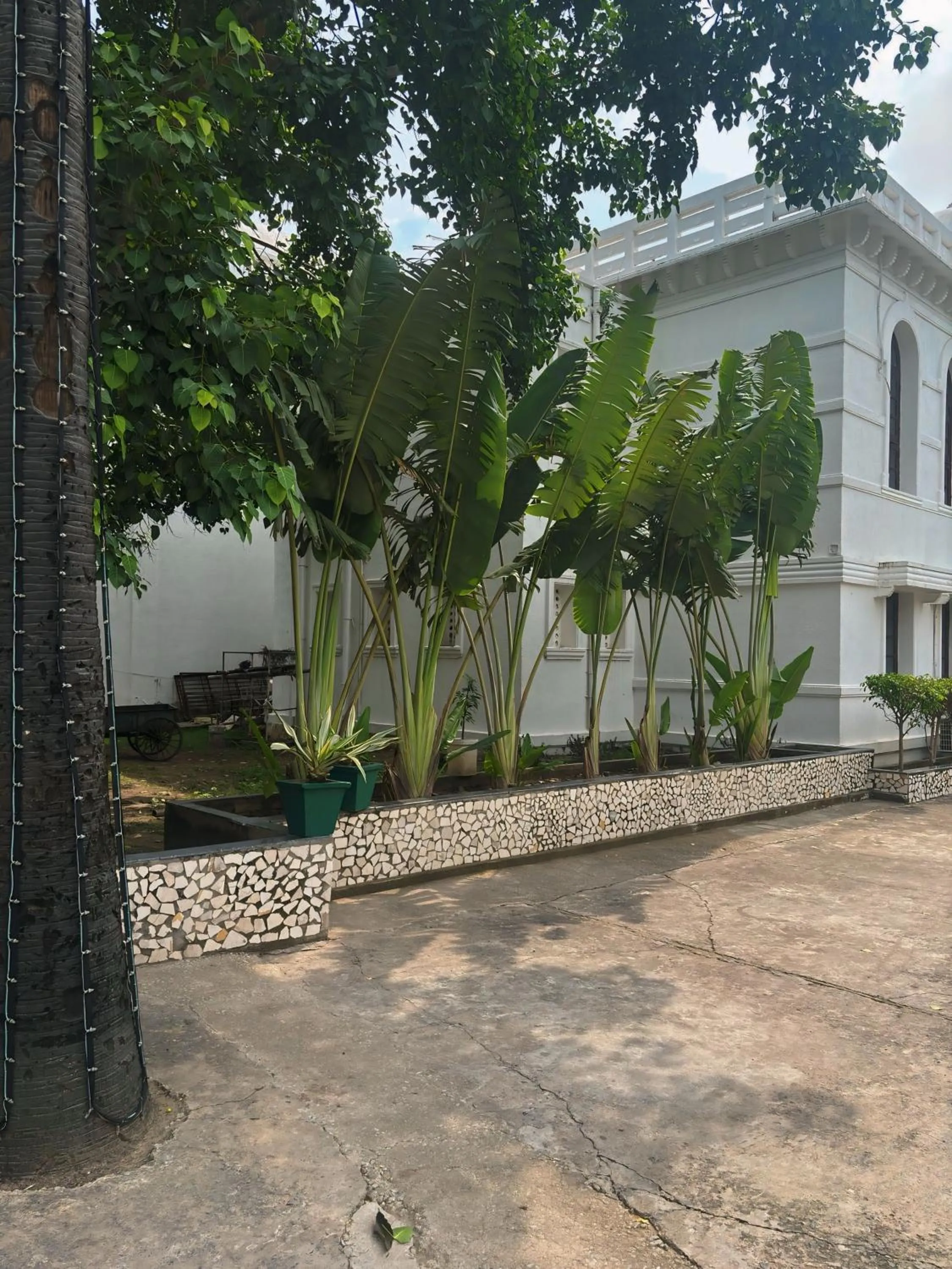 Garden in BUDDHA HERITAGE RESORT