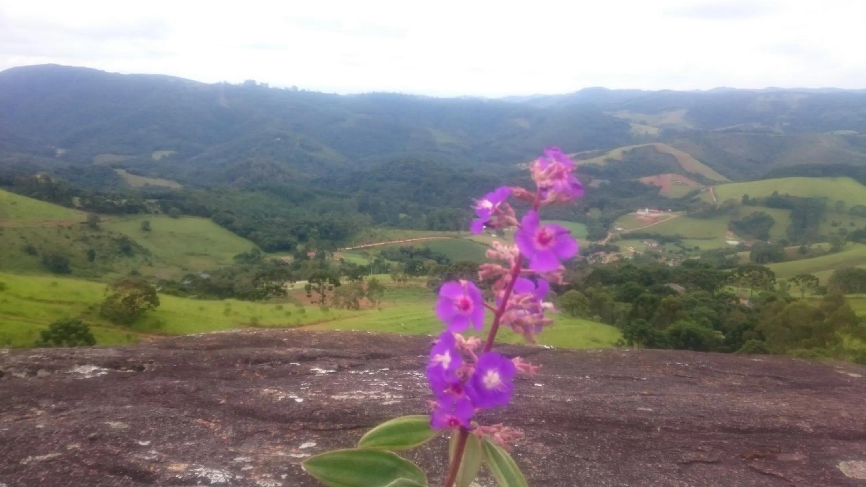 Natural landscape in Montanha Home