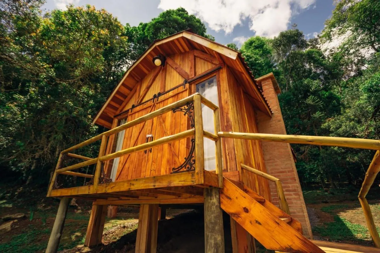 Property building in Montanha Home