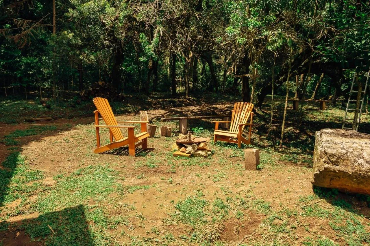Garden view in Montanha Home