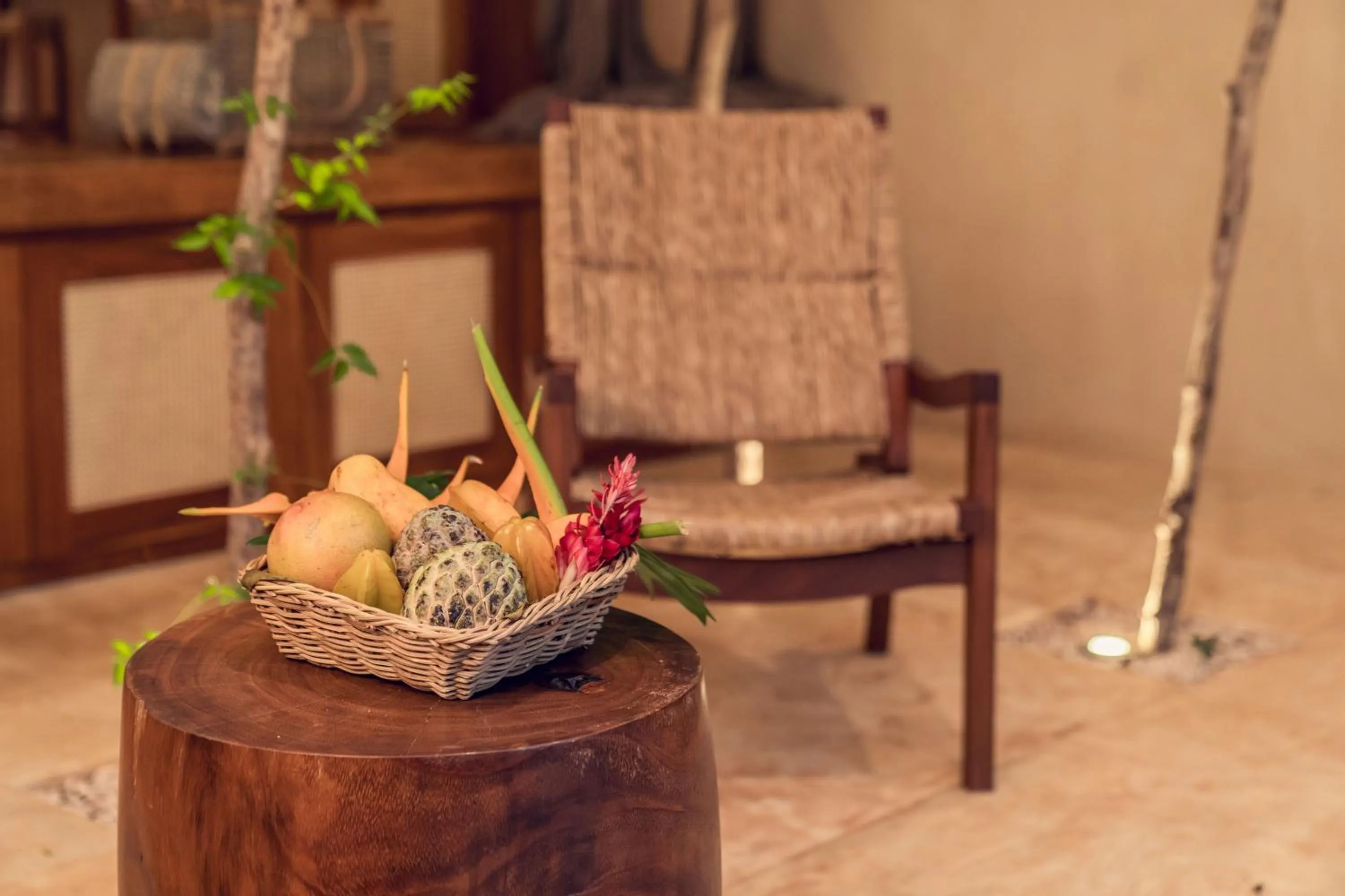Living room in Oriundo Luxury Nature Villas