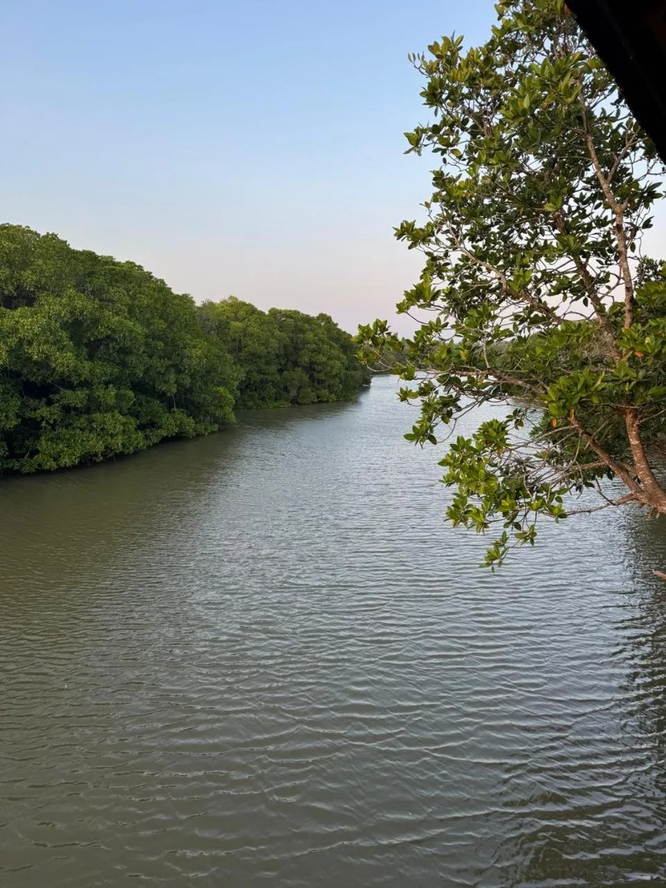 View (from property/room) in OHEI