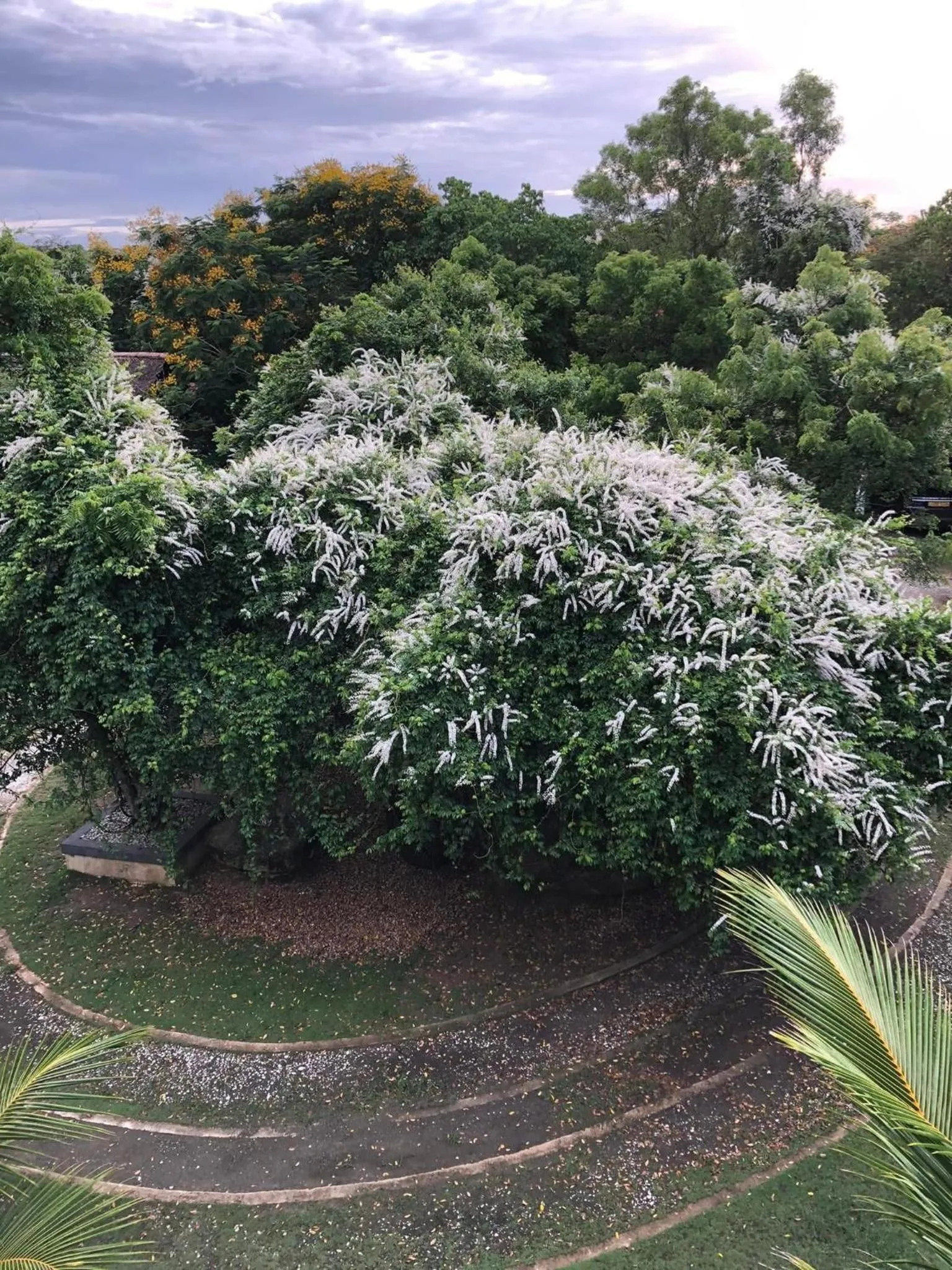 View (from property/room) in OHEI