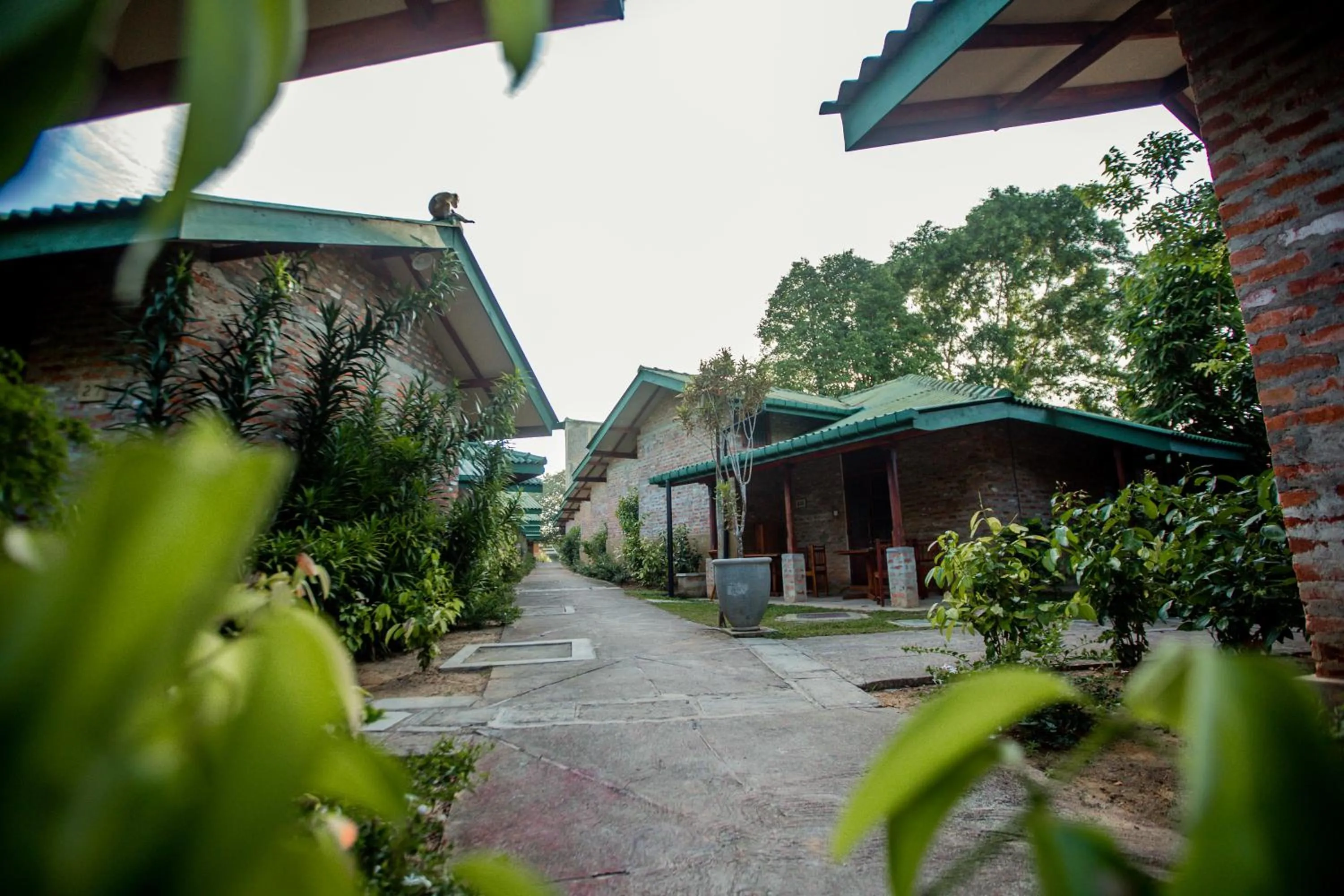 Garden view in The Coastal Village Cabanas