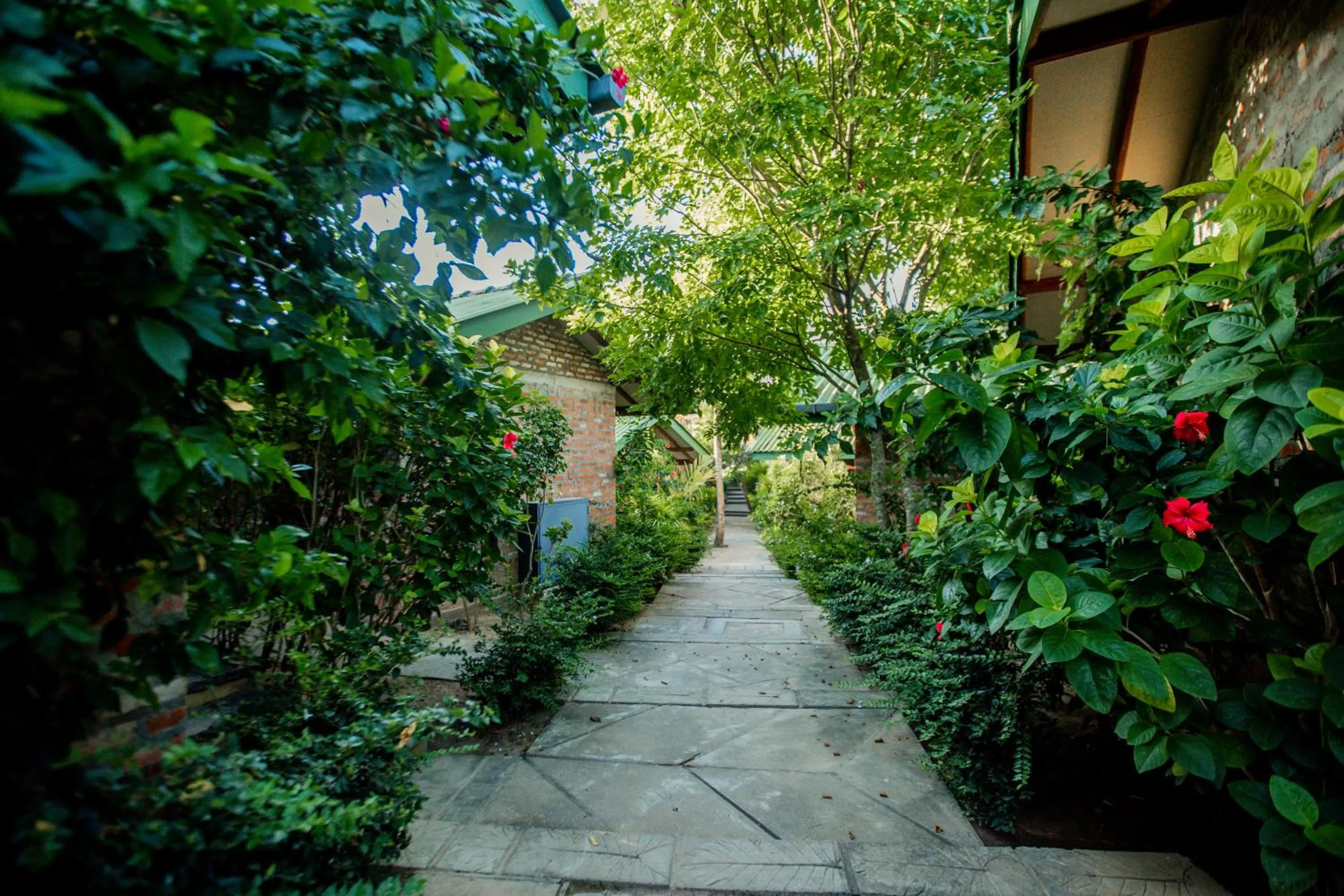 Garden in The Coastal Village Cabanas