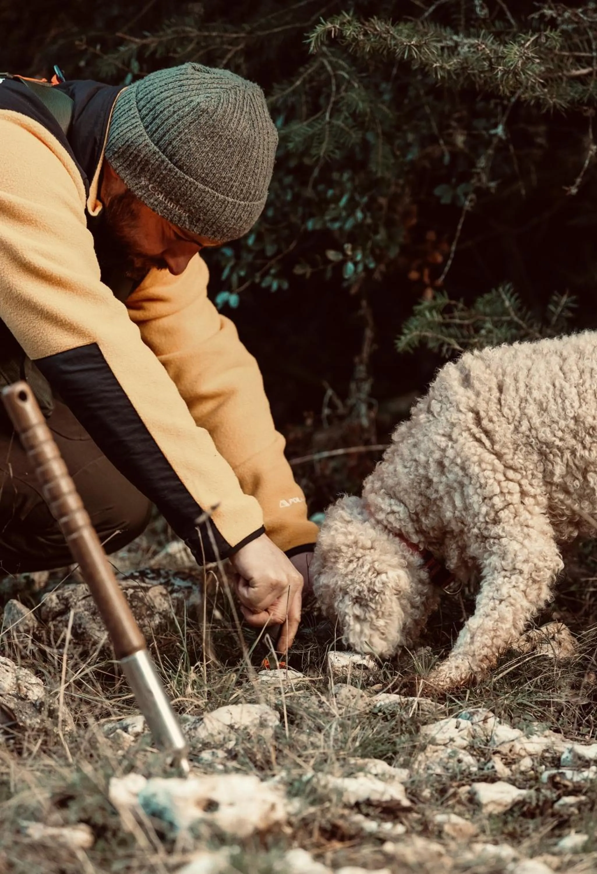 Activities in MANNA, a Member of Design Hotels