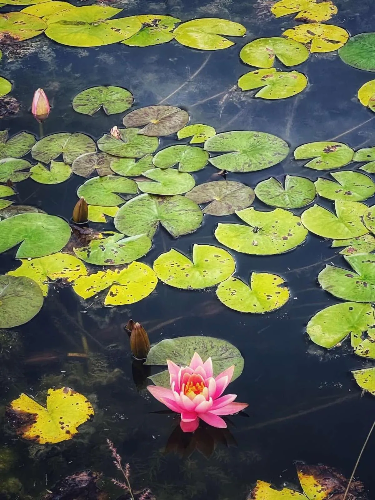 Spa and wellness centre/facilities in MANNA, a Member of Design Hotels