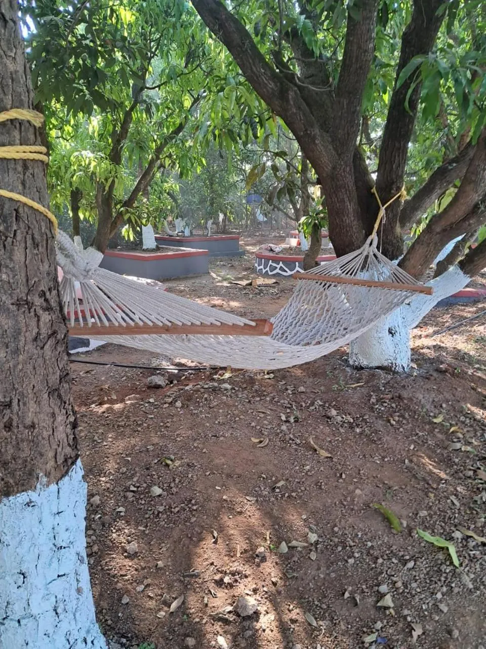 Natural landscape in Ashoka Lawns and Resort