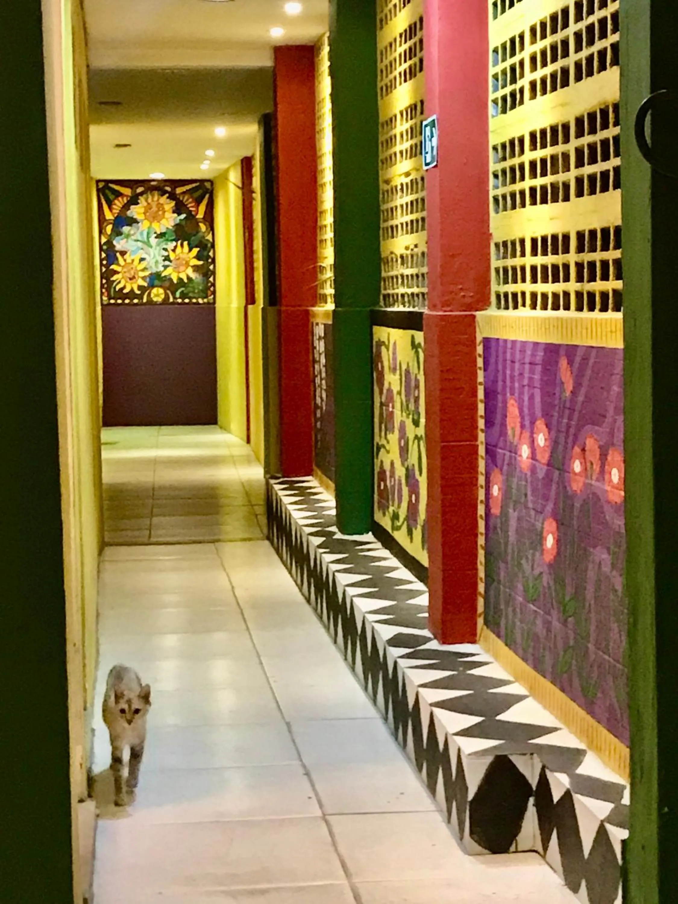 Pets in Hostel do Rasta