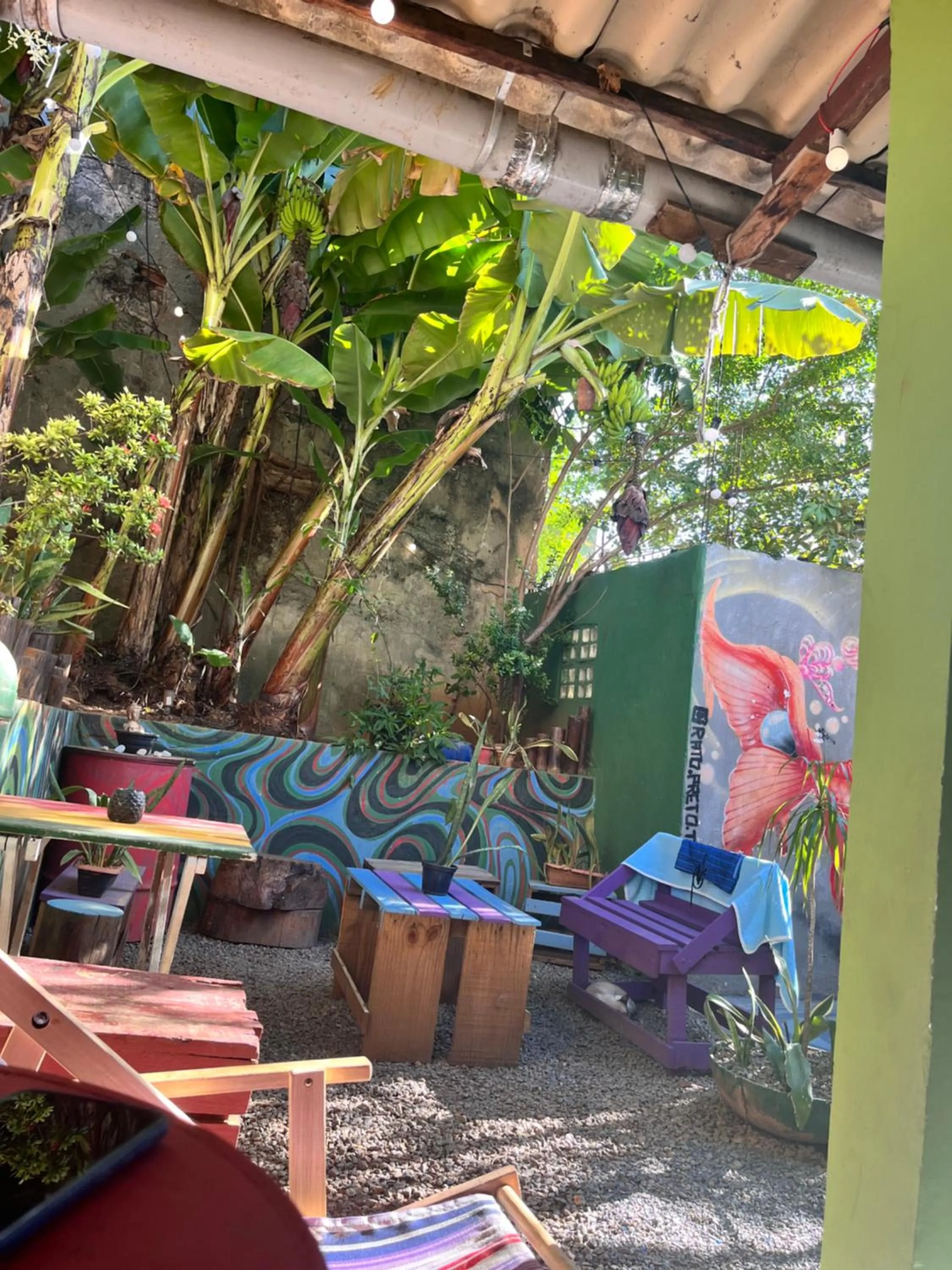 Property building in Hostel do Rasta