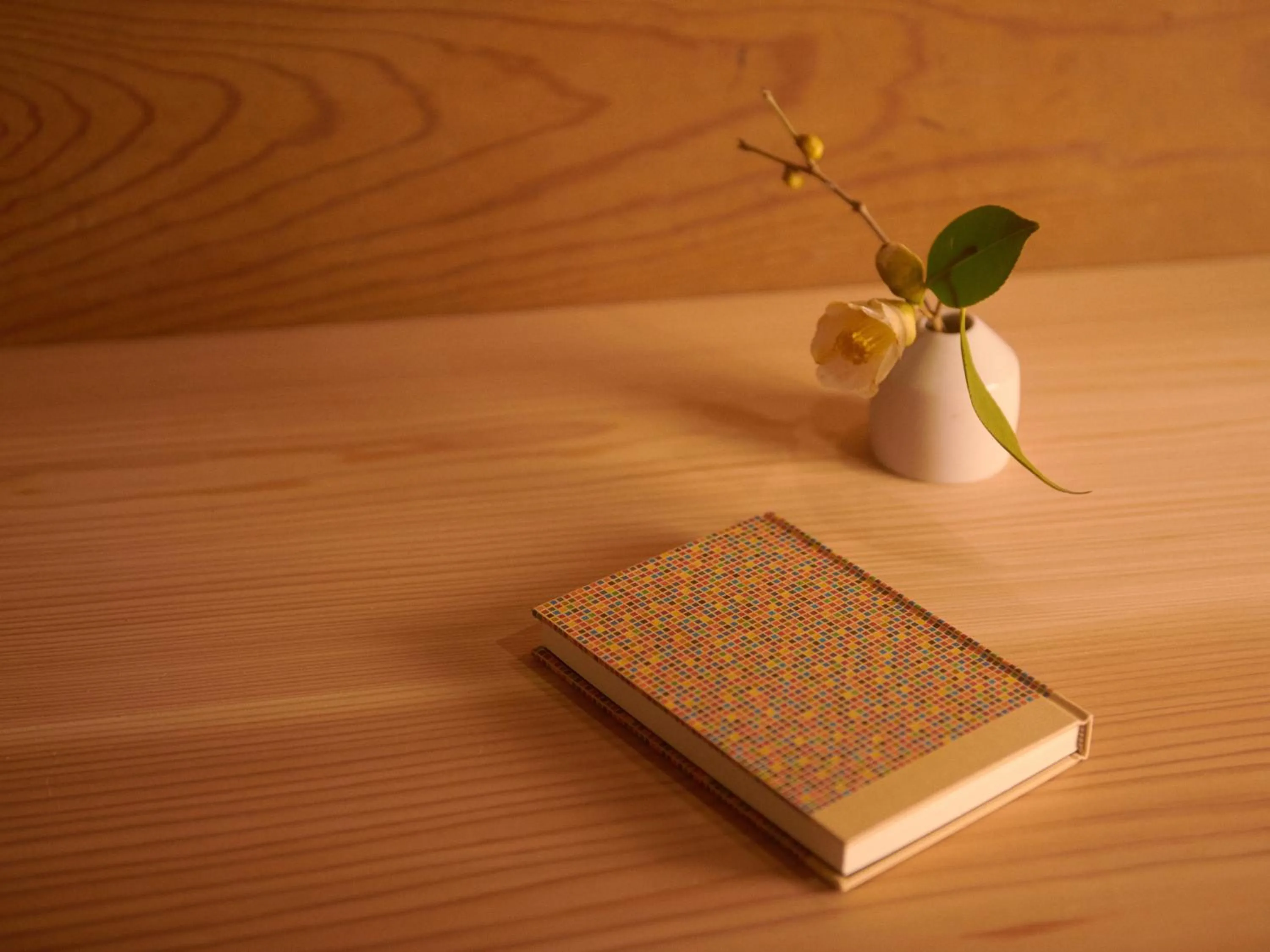 Other in RITA Izumo Hirata