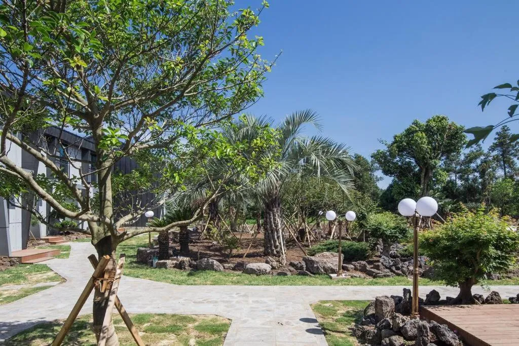 Garden view in THE SOME PENSION