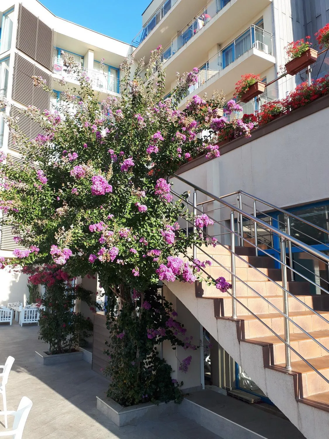 Property building in Hotel Slavey - All Inclusive